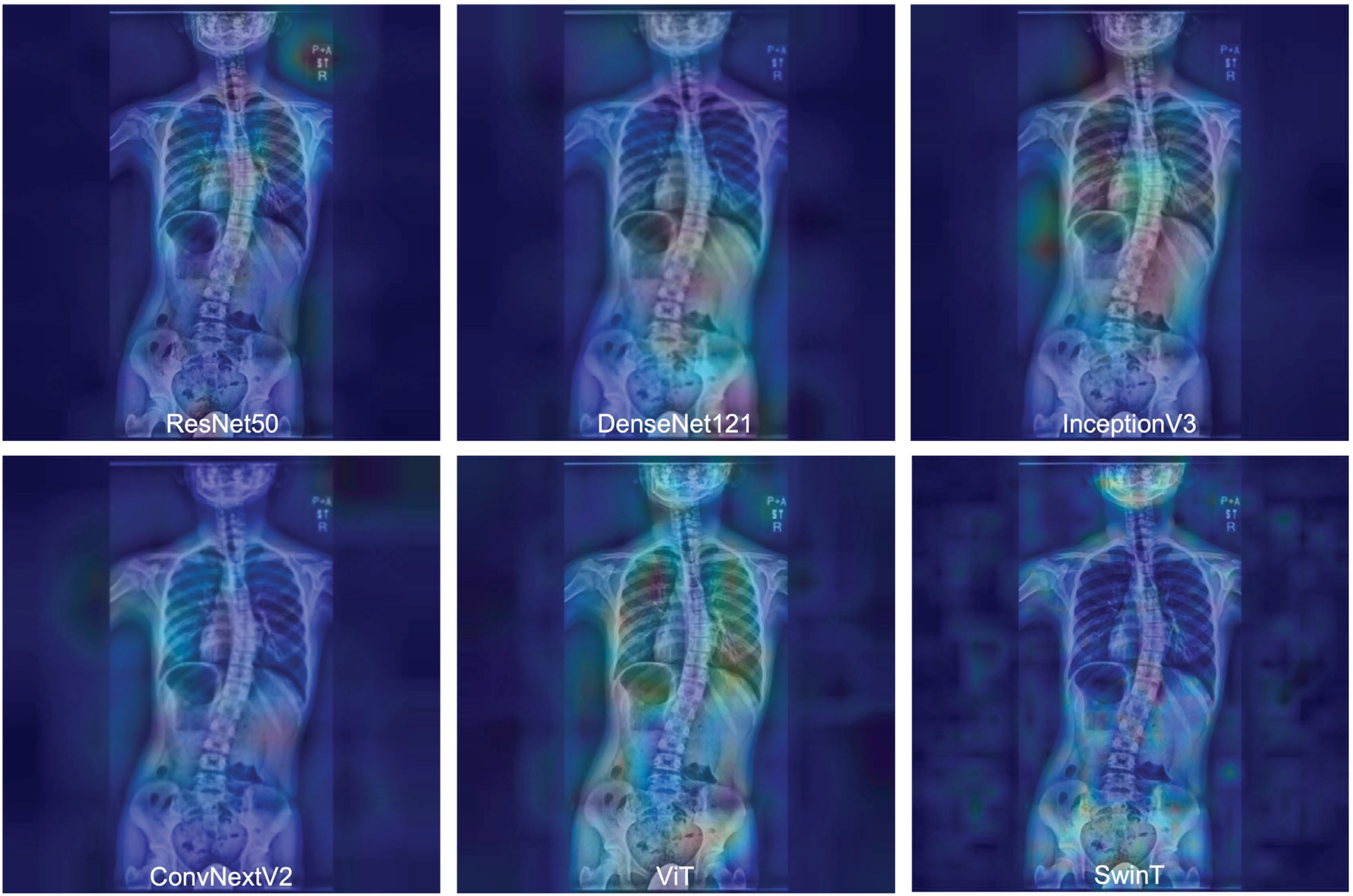 Jcm 14 07216 g005 Jcm 14 07216 g005