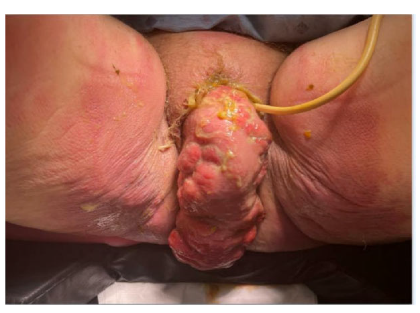 Jcm 14 07224 g001 Jcm 14 07224 g001