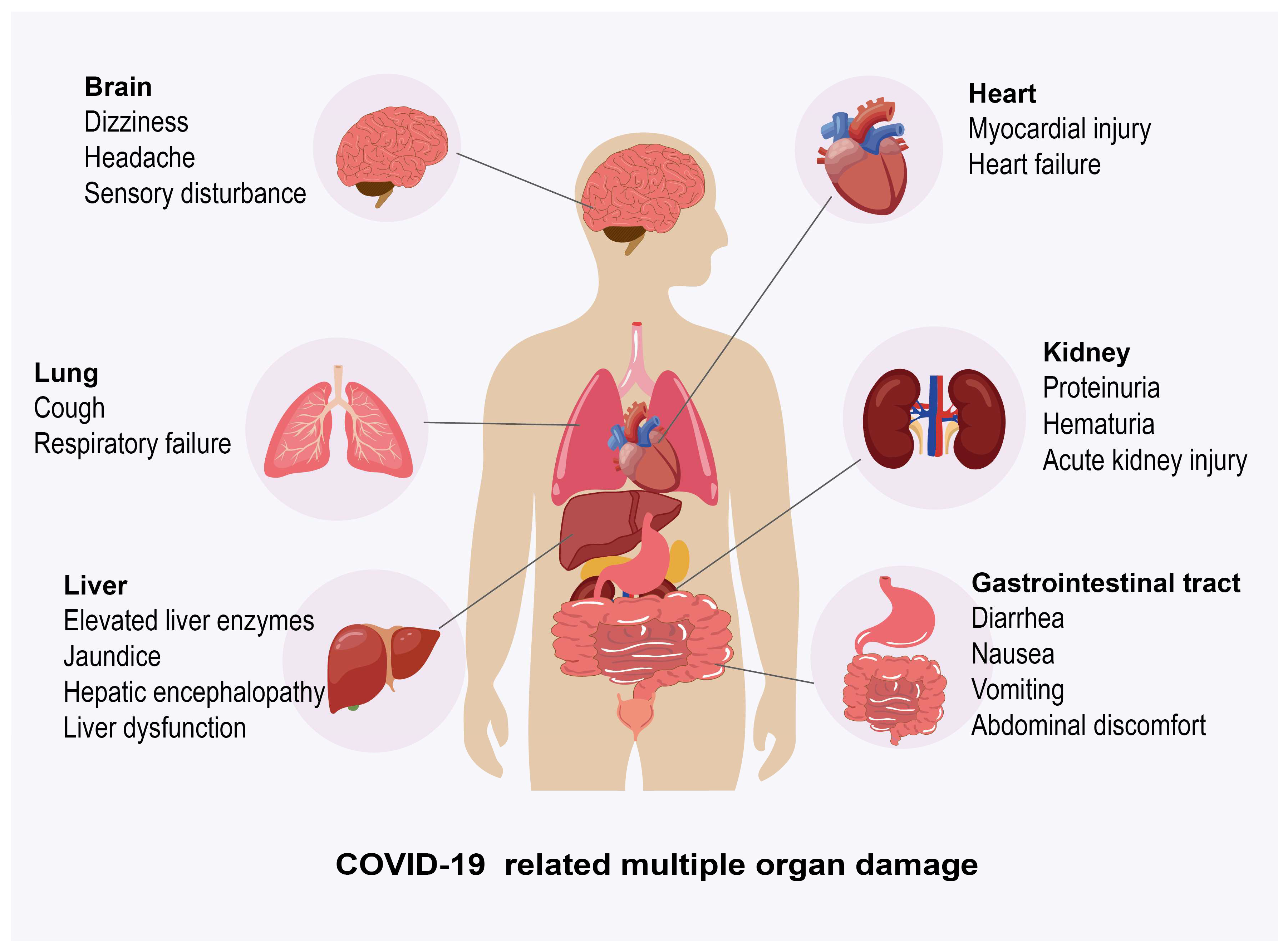 Jcm 14 07228 g003 Jcm 14 07228 g003