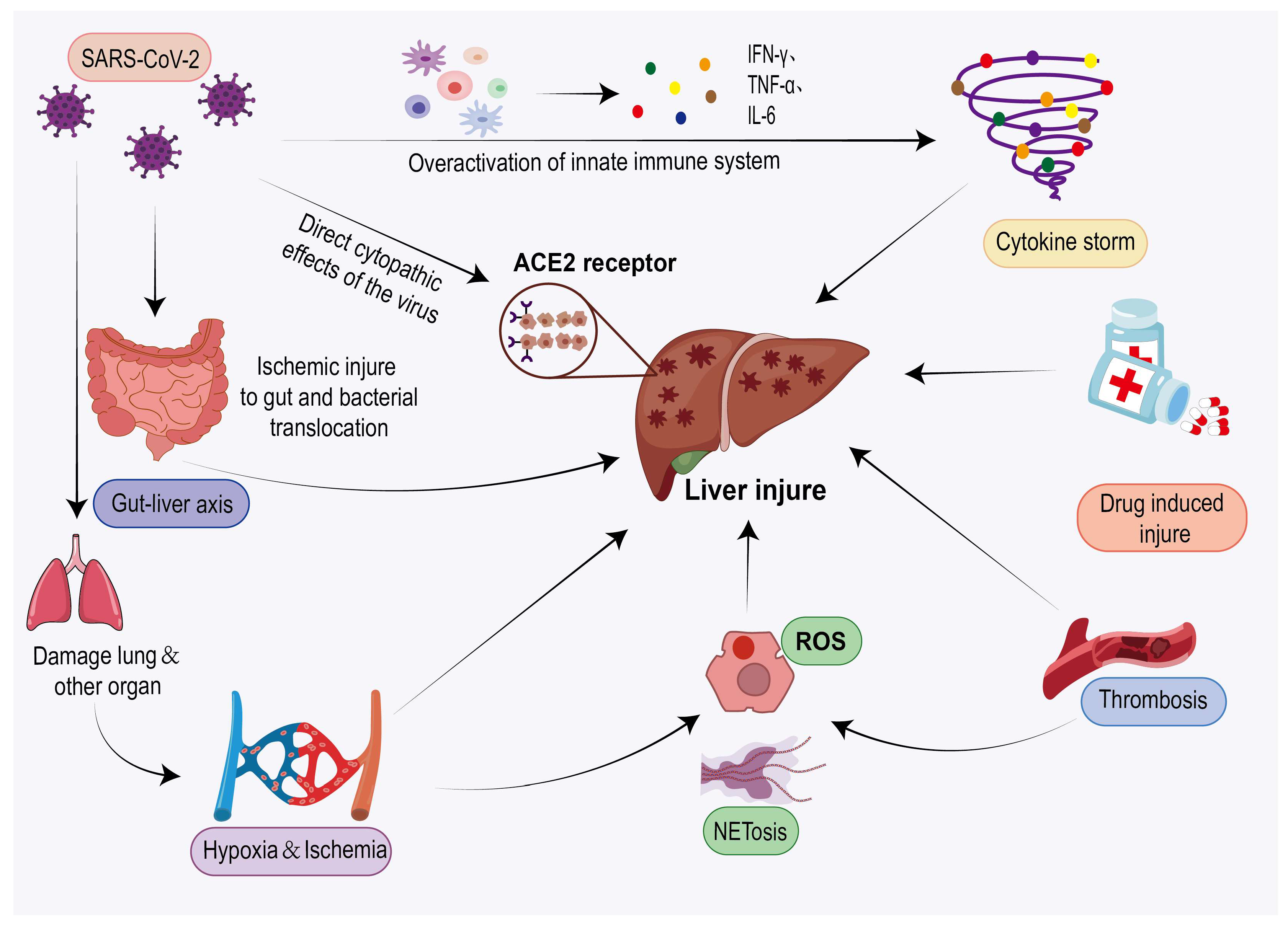 Jcm 14 07228 g004 Jcm 14 07228 g004