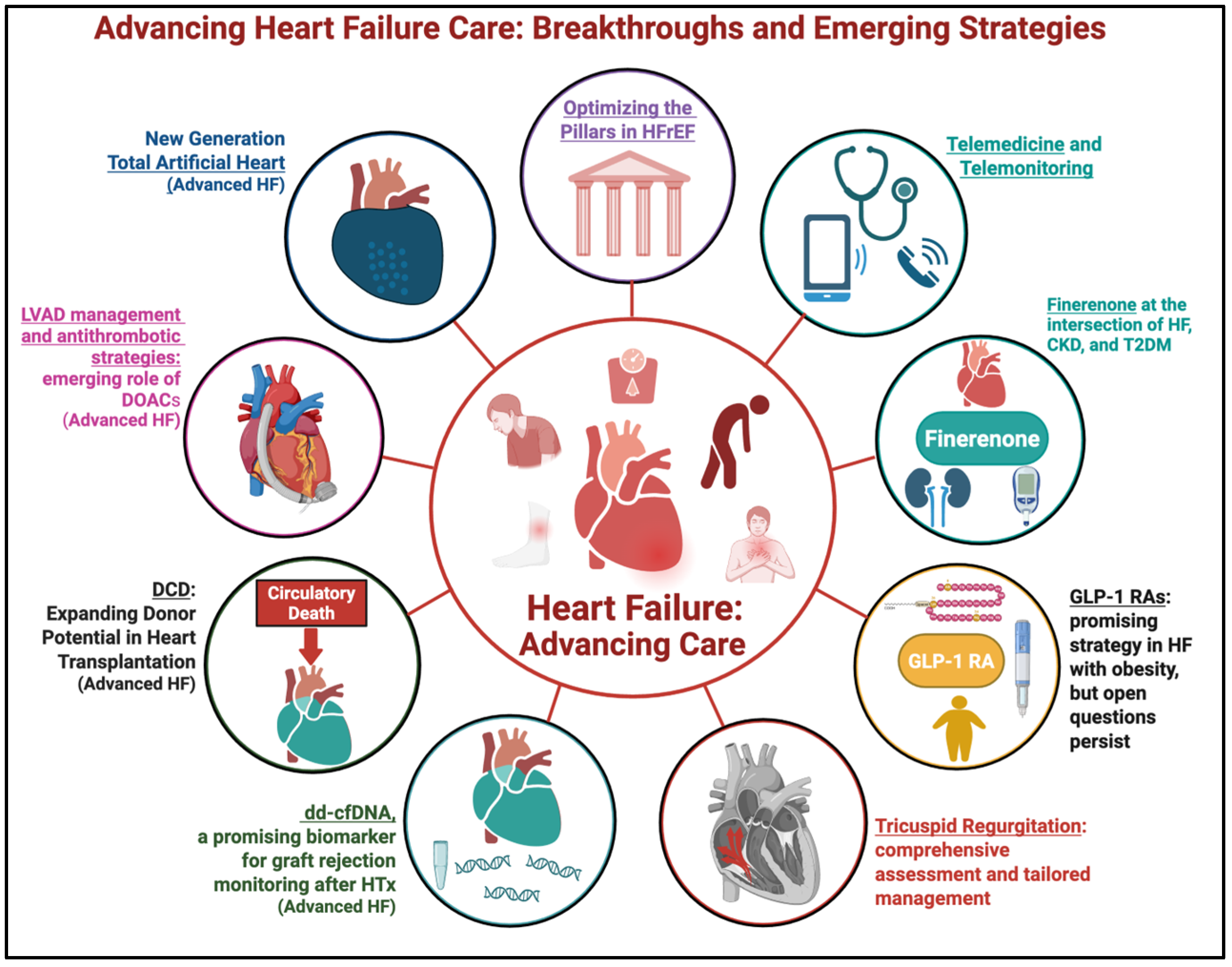 Jcm 14 07253 g001 Jcm 14 07253 g001