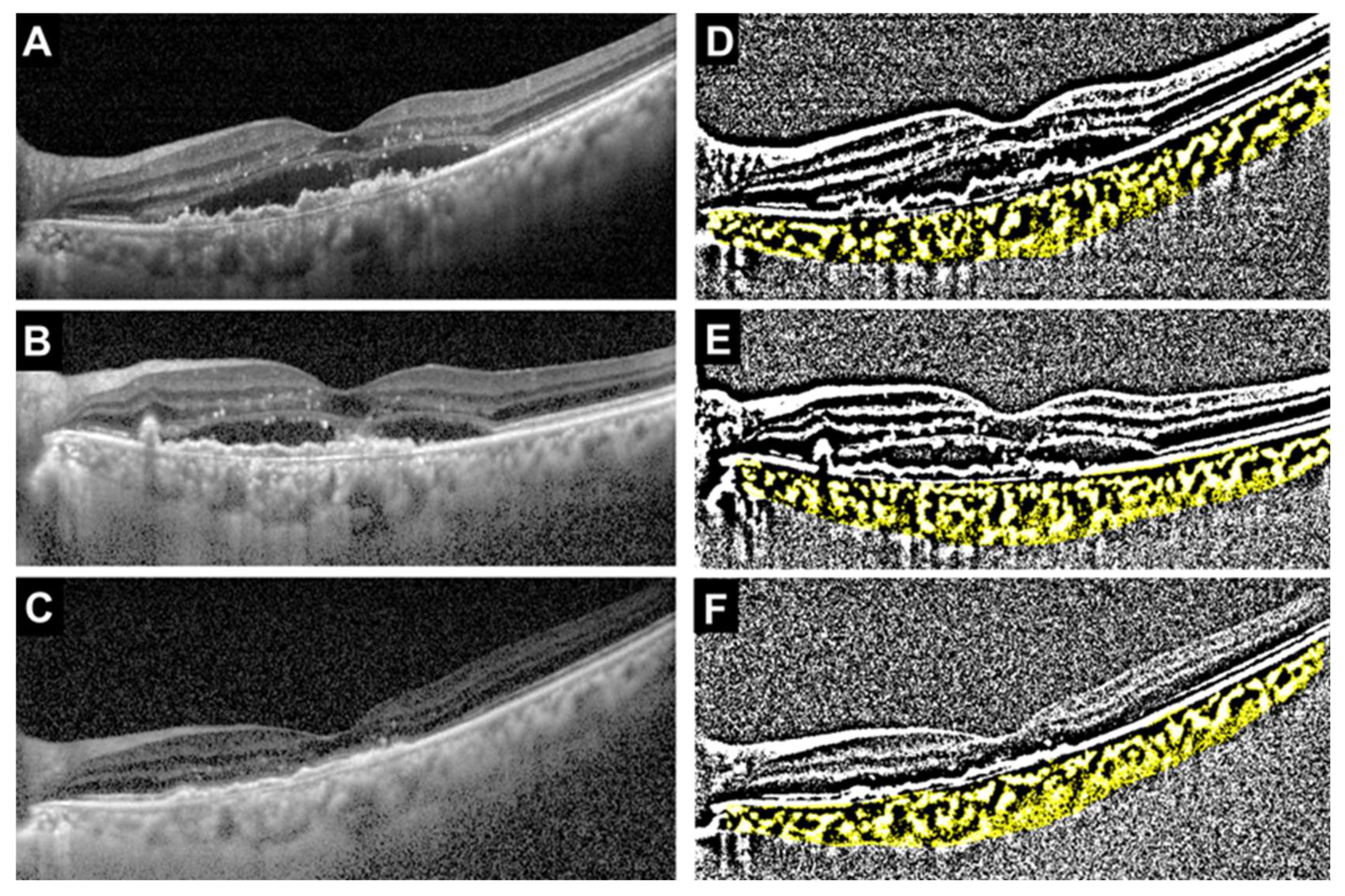 Jcm 14 07257 g002 Jcm 14 07257 g002