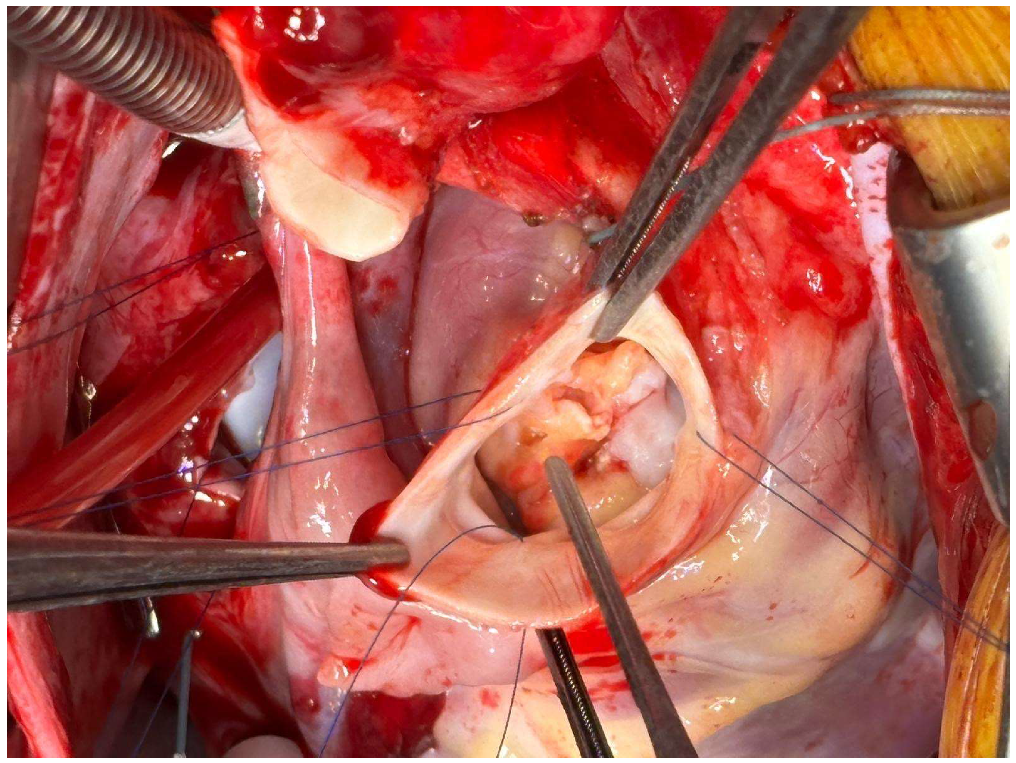 Jcm 14 07274 g001 Jcm 14 07274 g001