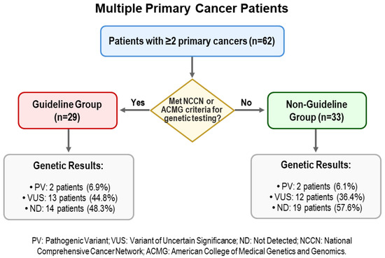 Multiple Primary Cancers as an Independent Criterion for Germline
