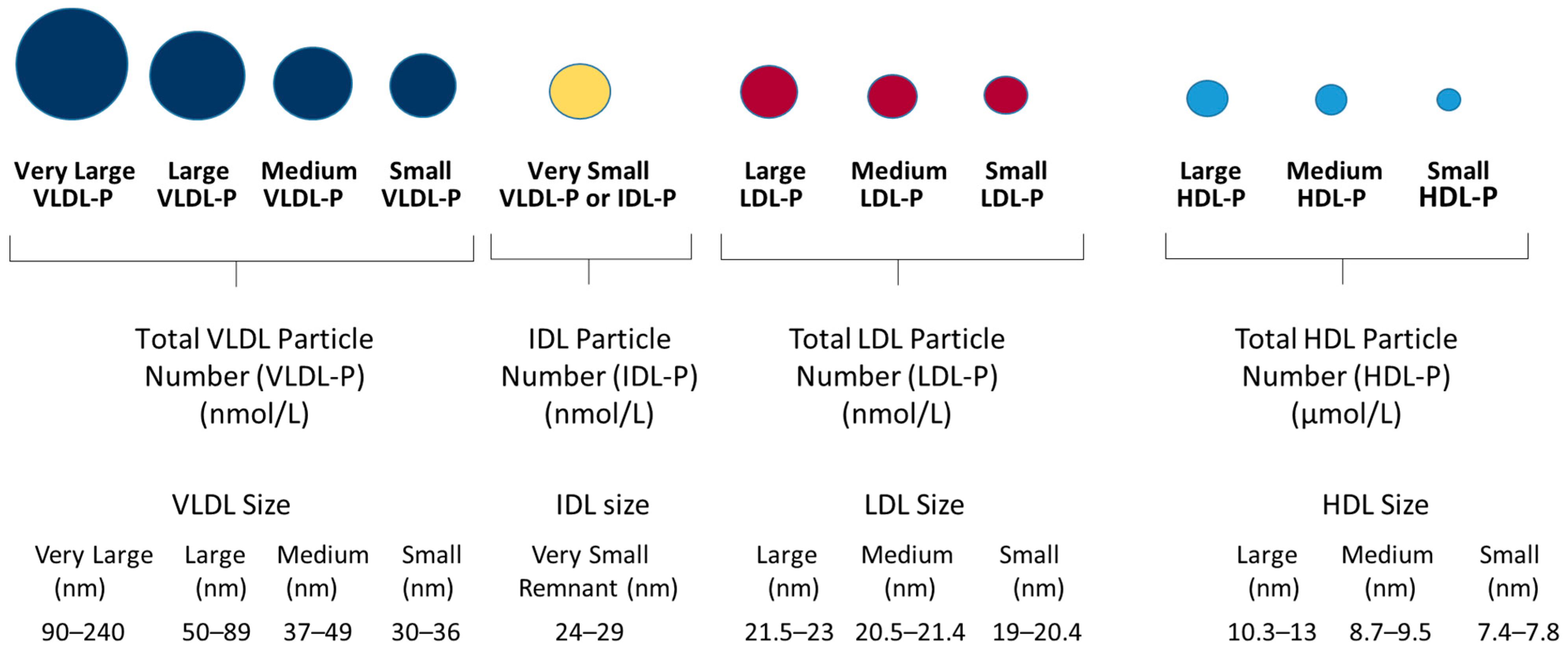 Jcm 14 07405 g001 Jcm 14 07405 g001