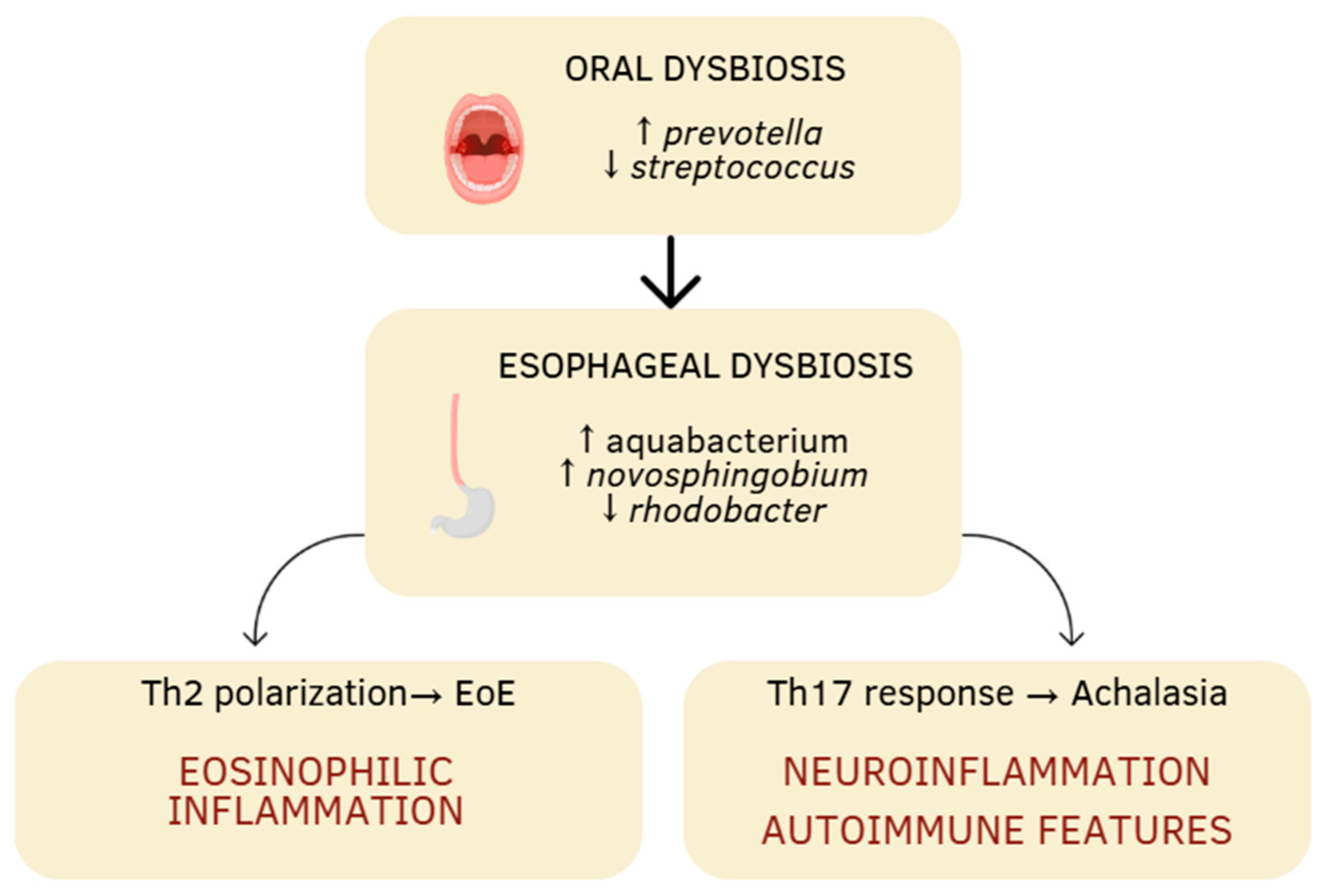 Jcm 14 07502 g001 Jcm 14 07502 g001