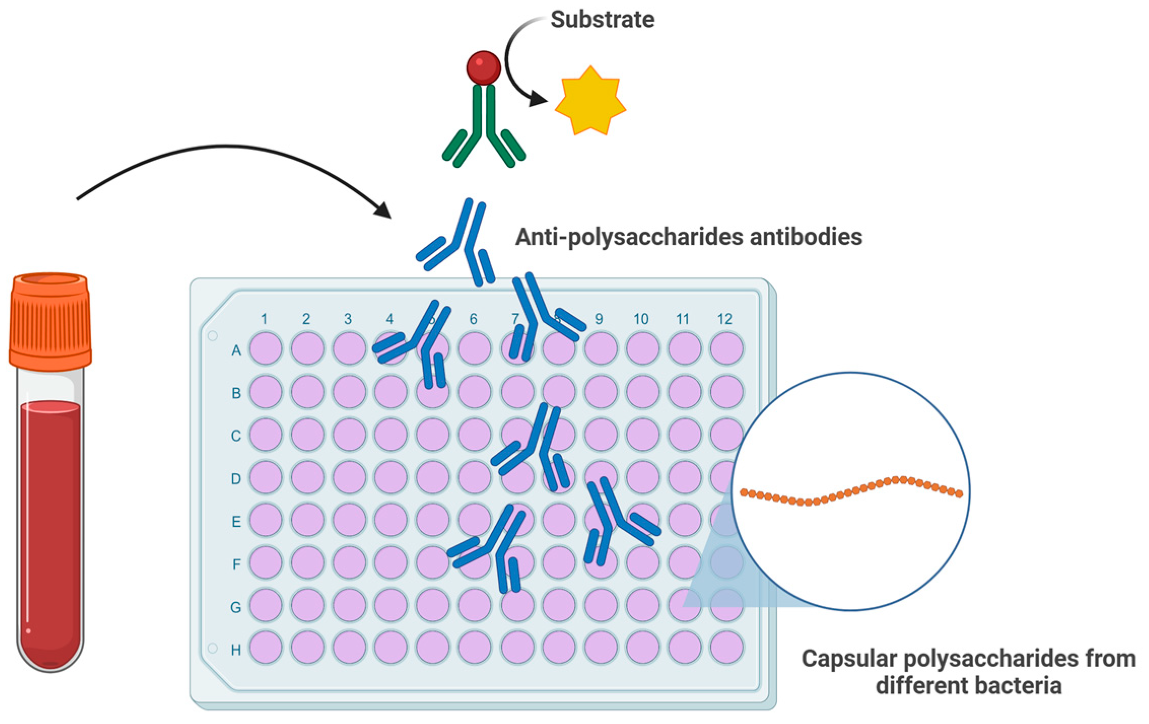 Jcm 14 07502 g002 Jcm 14 07502 g002
