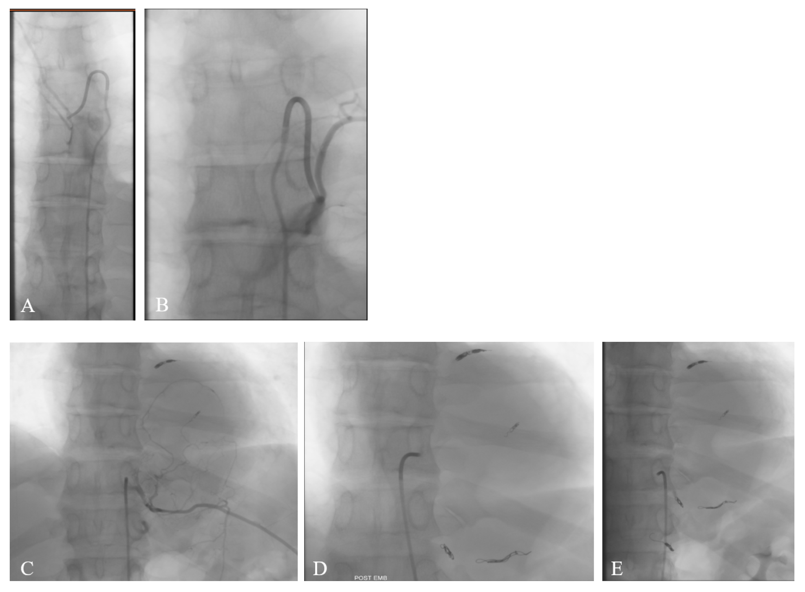 Jcm 14 07596 g002 Jcm 14 07596 g002