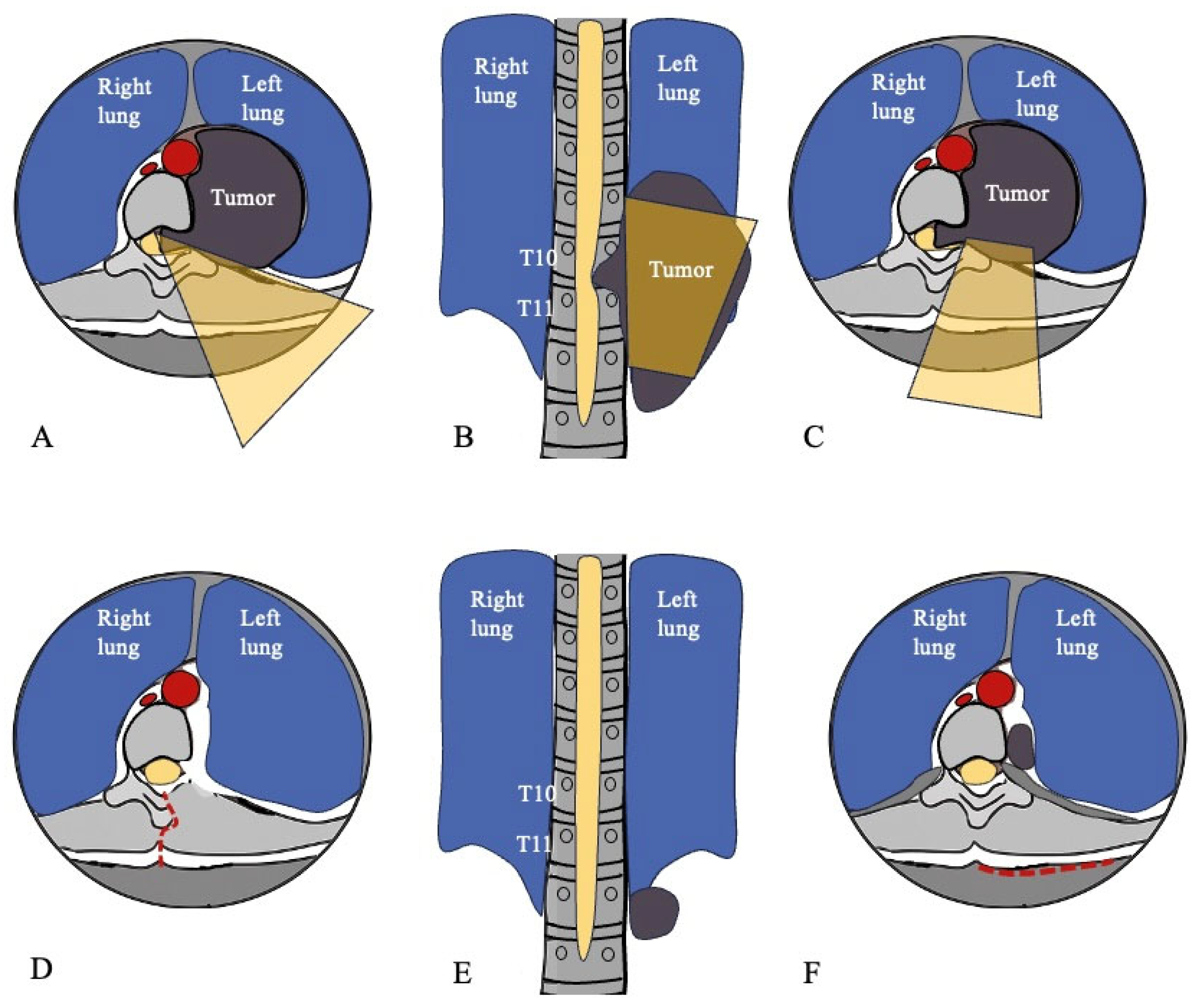 Jcm 14 07596 g006 Jcm 14 07596 g006