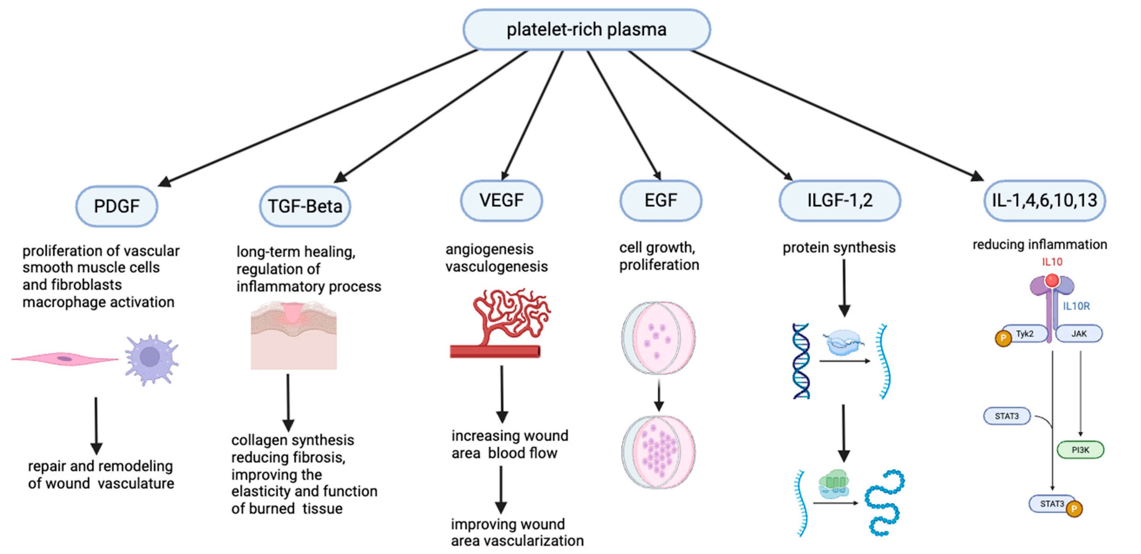 Jcm 14 07620 g004 Jcm 14 07620 g004