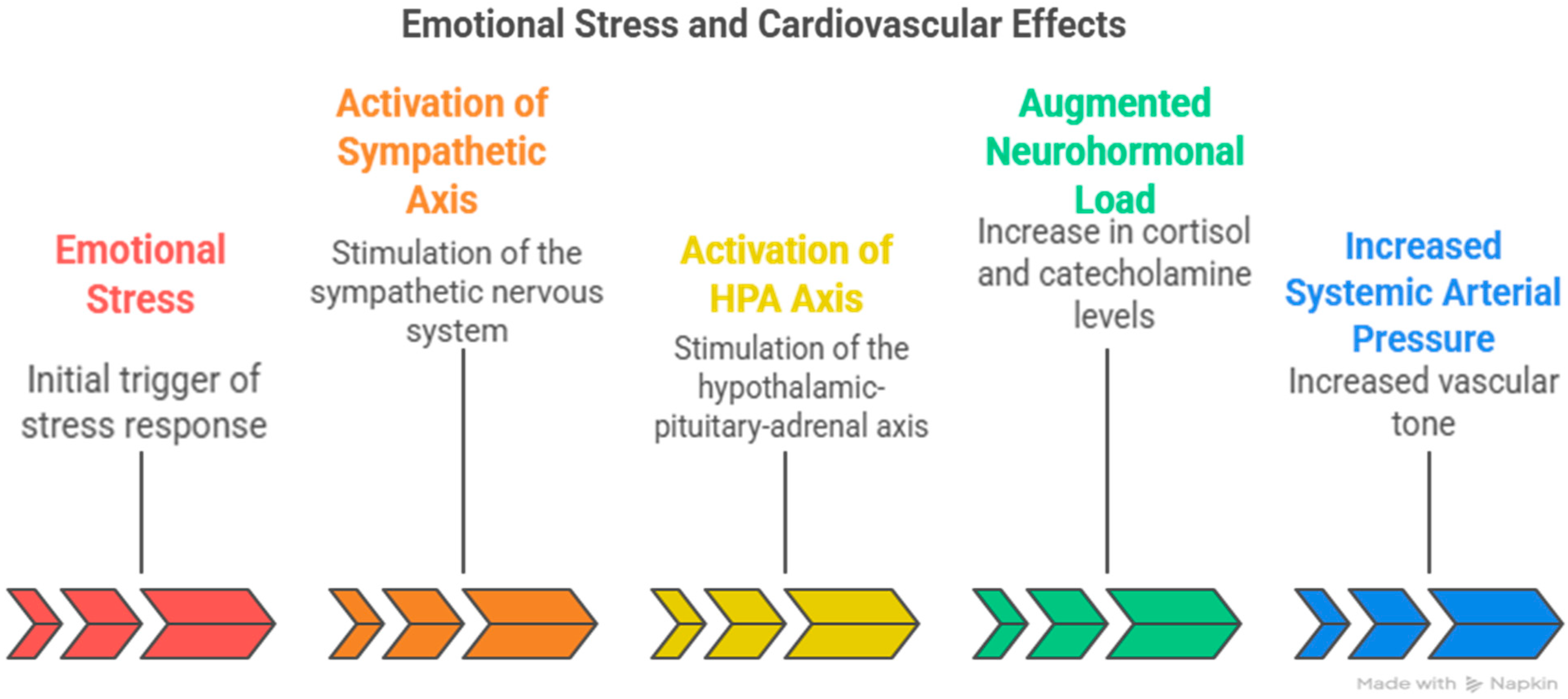 Jcm 14 07638 g002 Jcm 14 07638 g002