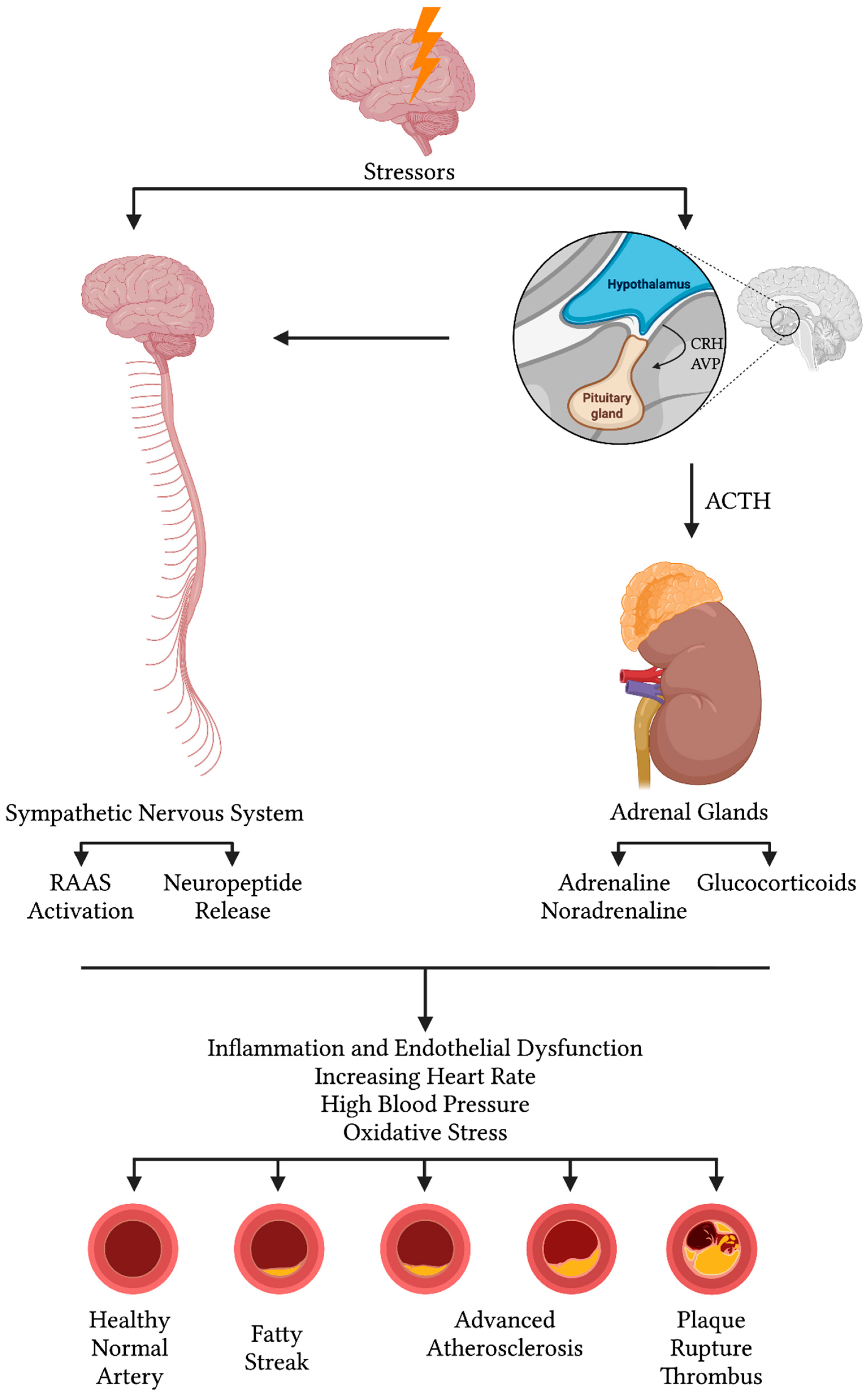 Jcm 14 07638 g004 Jcm 14 07638 g004