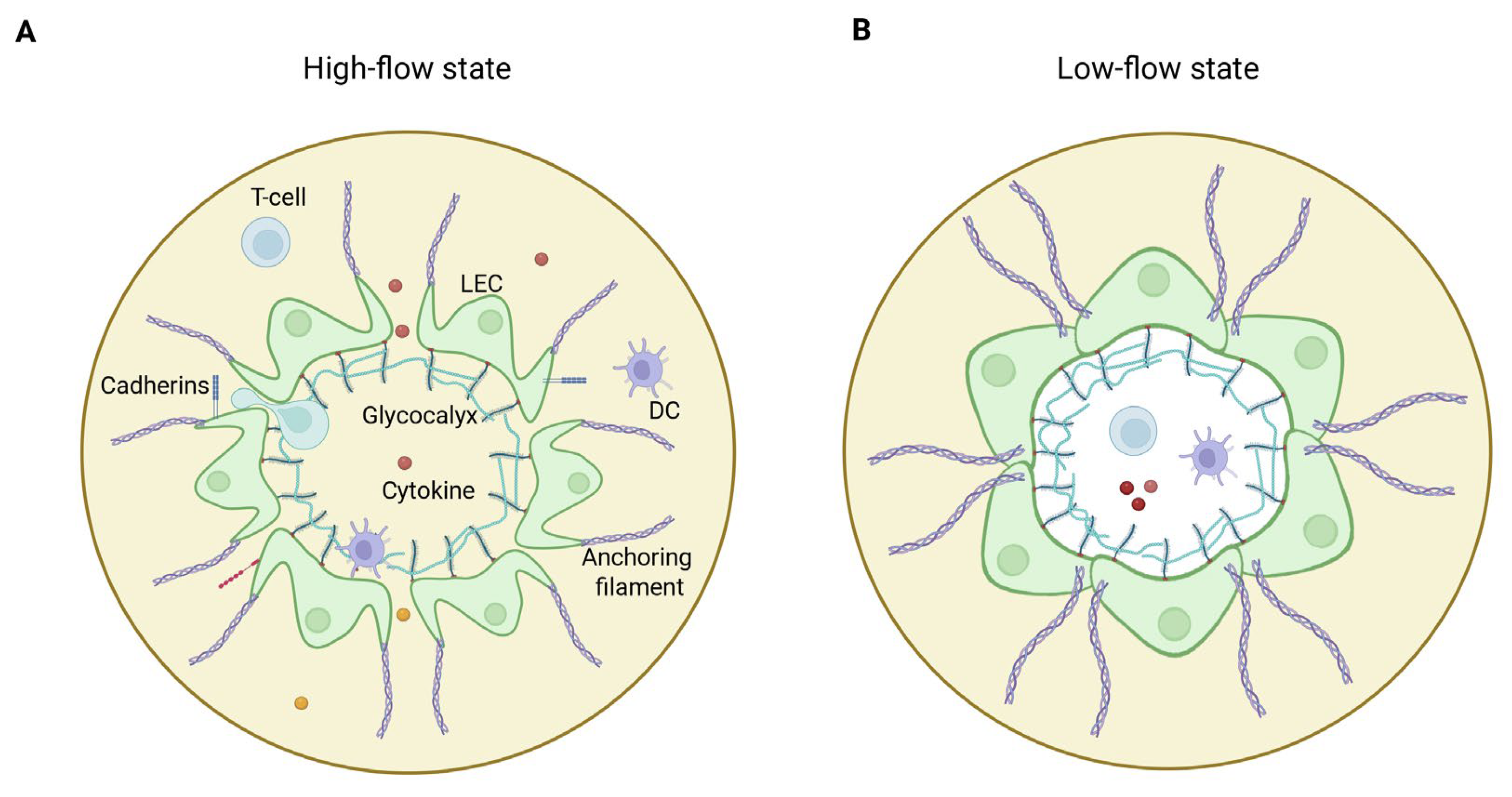 Jcm 14 07641 g001 Jcm 14 07641 g001