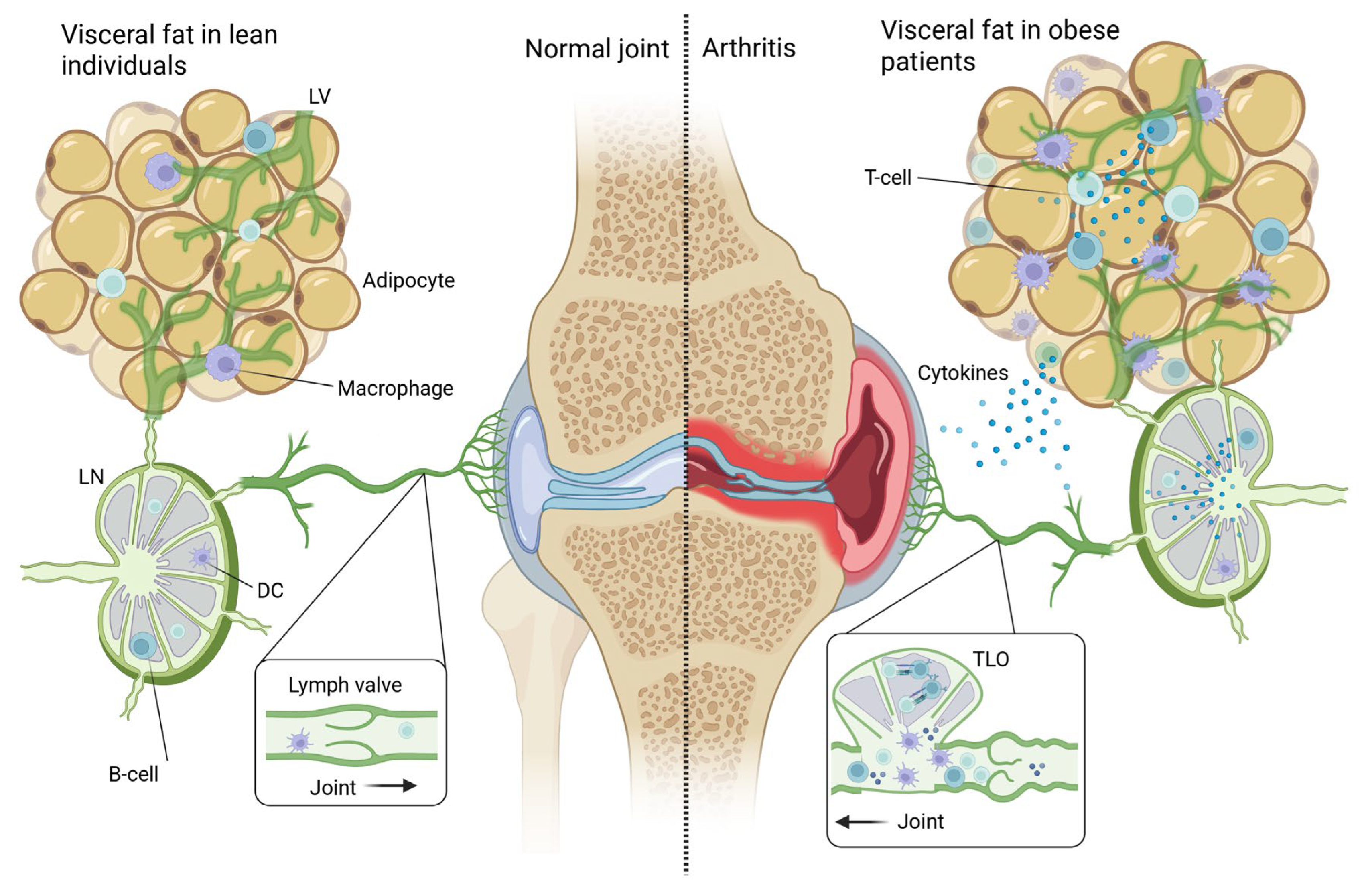 Jcm 14 07641 g002 Jcm 14 07641 g002
