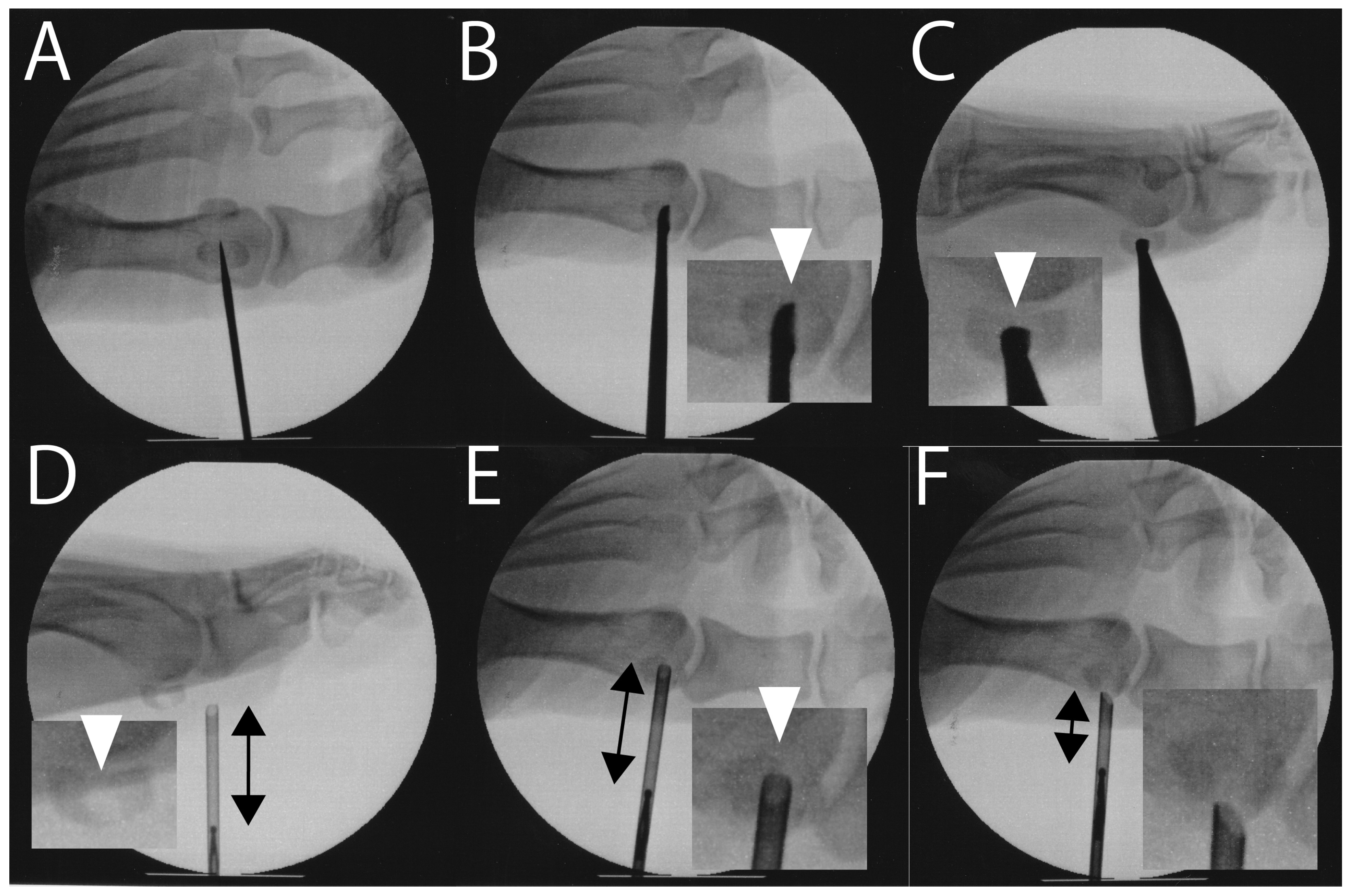 Jcm 14 07687 g002 Jcm 14 07687 g002