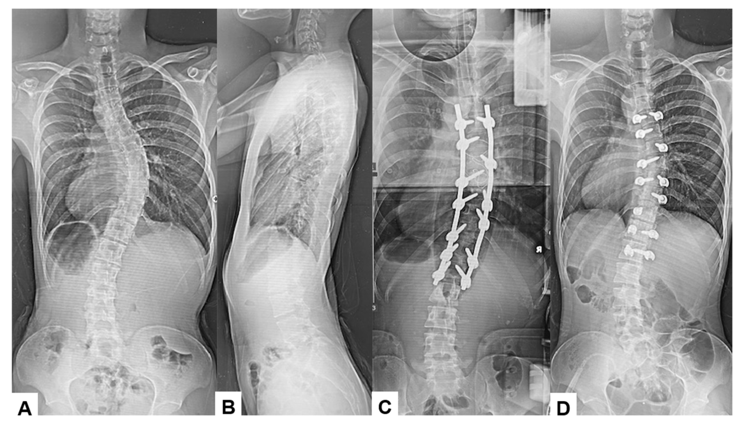 Jcm 14 07693 g003 Jcm 14 07693 g003