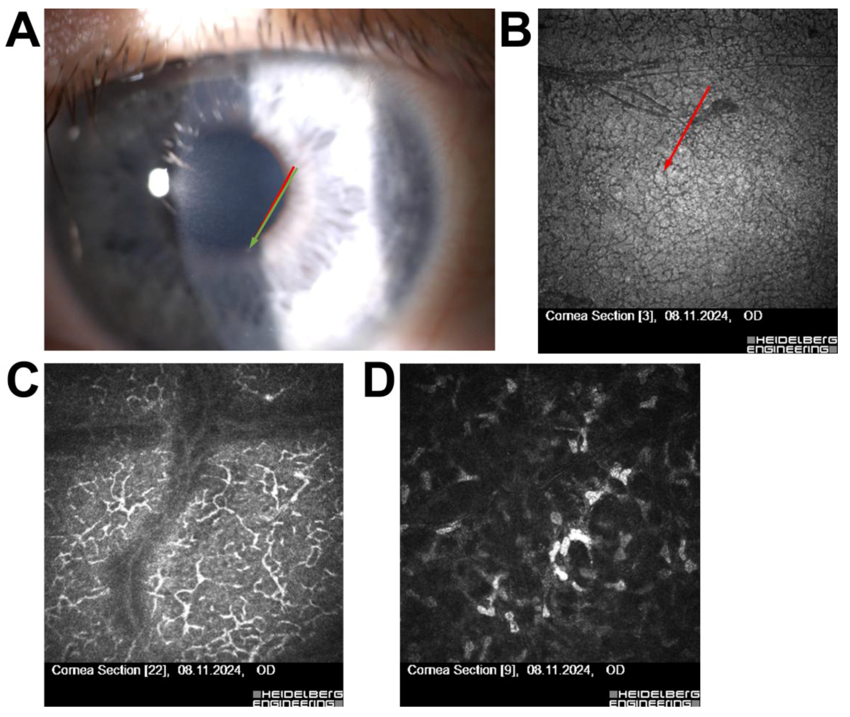 Jcm 14 07714 g001 Jcm 14 07714 g001
