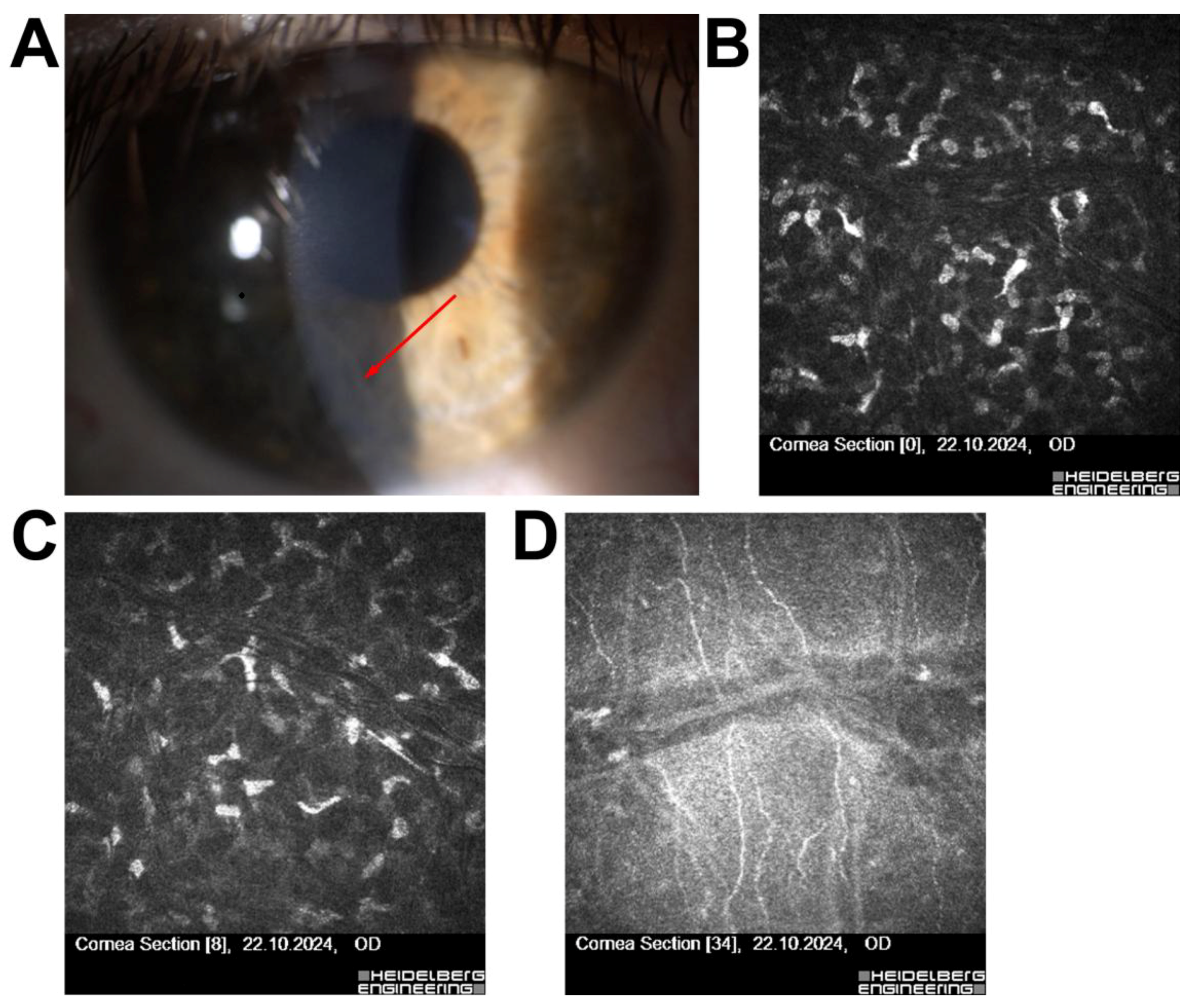 Jcm 14 07714 g002 Jcm 14 07714 g002