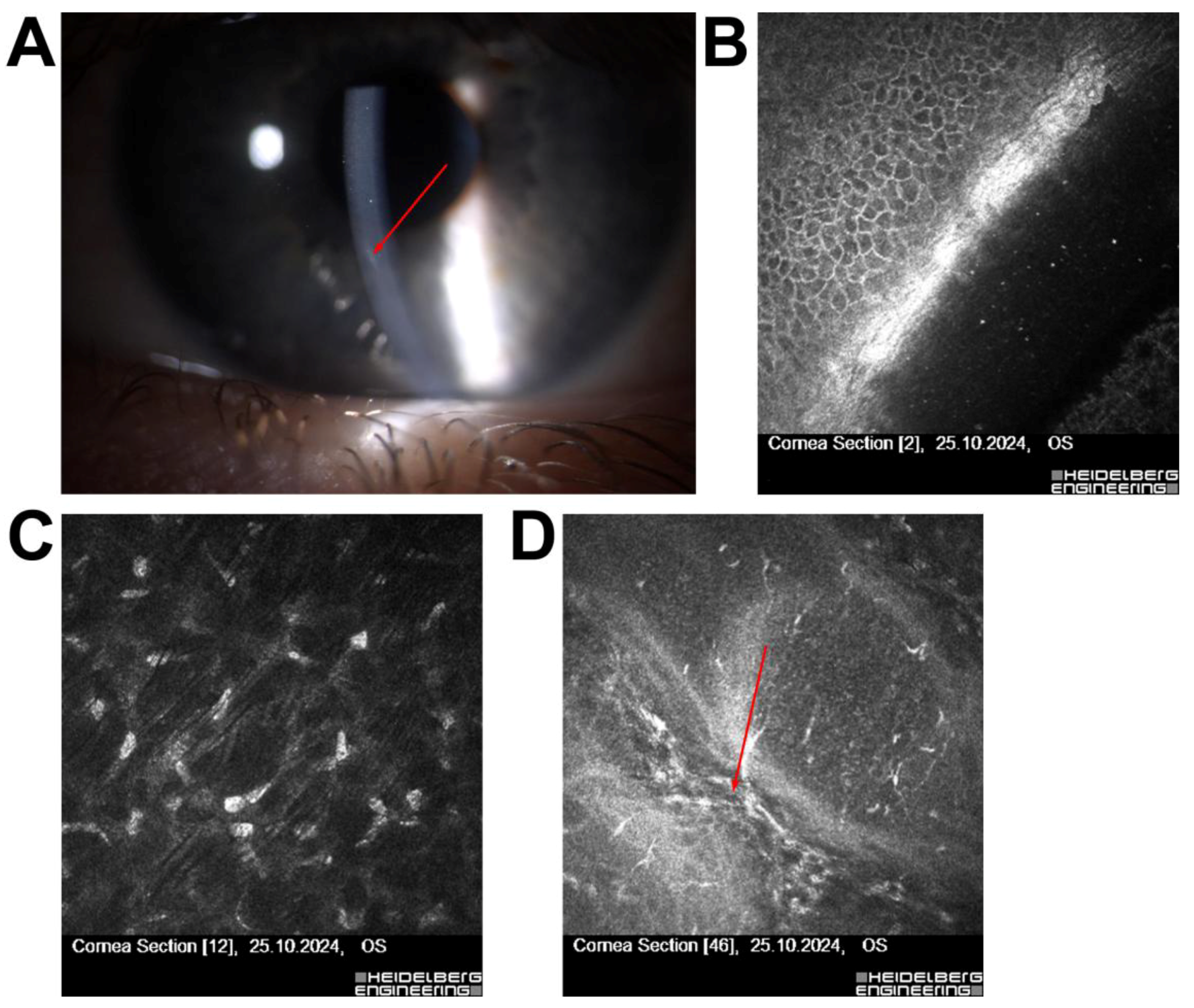 Jcm 14 07714 g004 Jcm 14 07714 g004