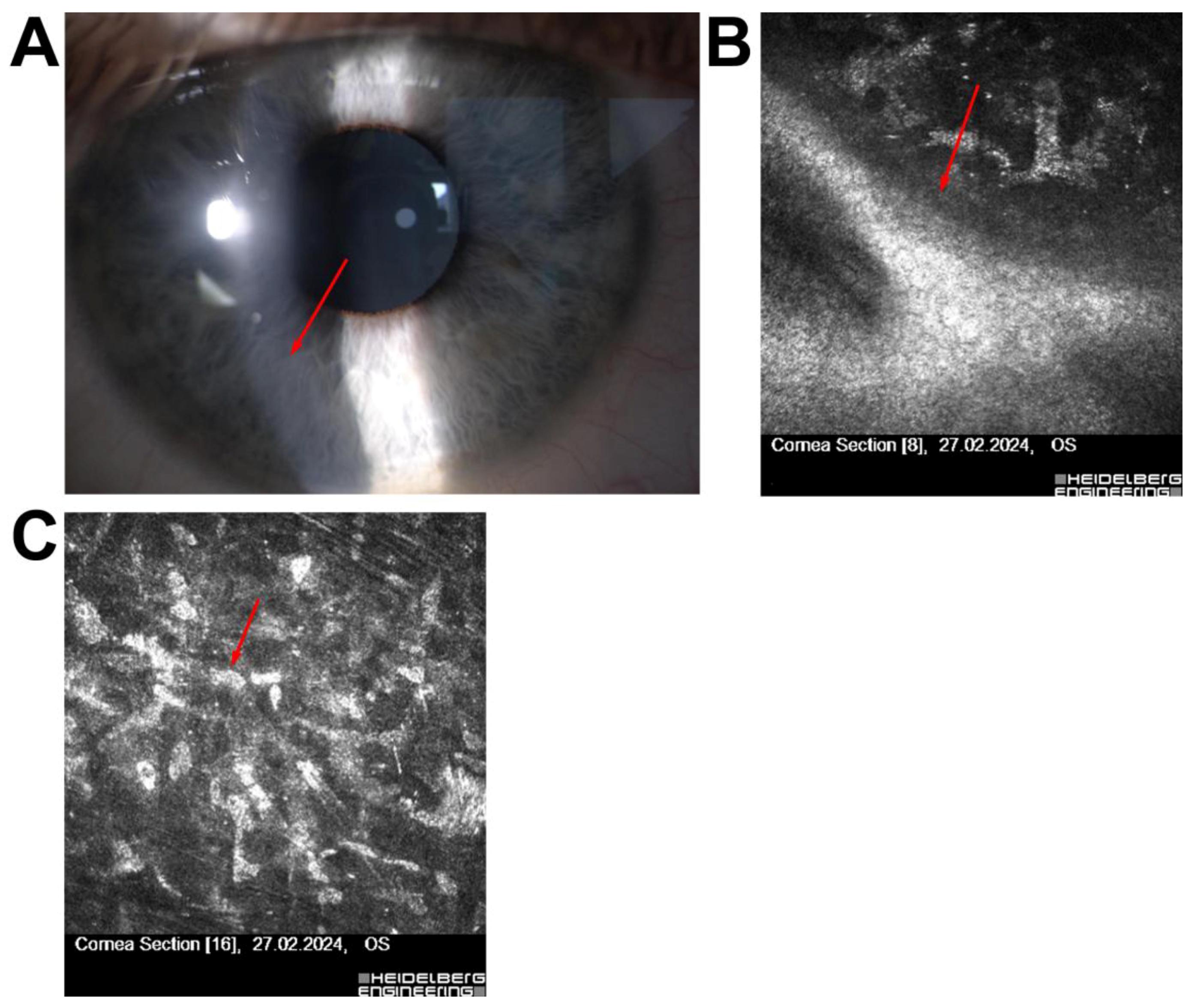 Jcm 14 07714 g005 Jcm 14 07714 g005