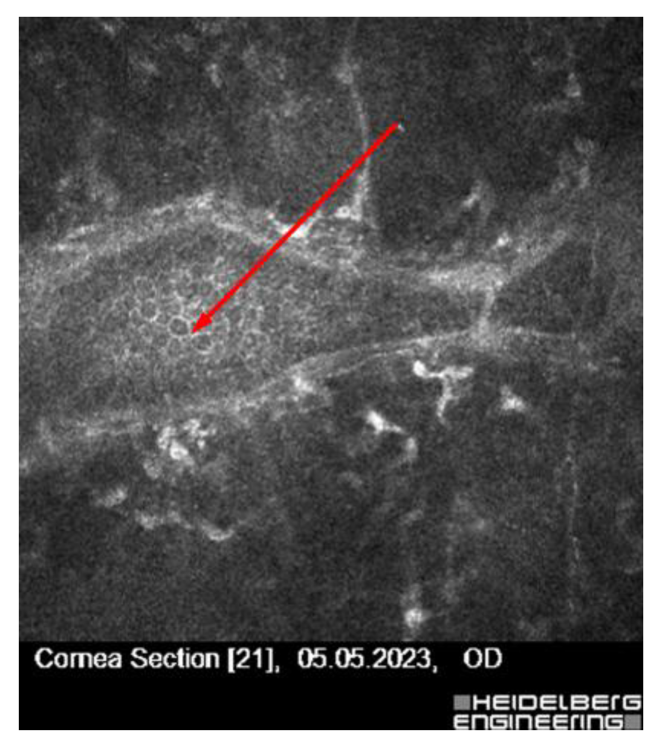 Jcm 14 07714 g007 Jcm 14 07714 g007