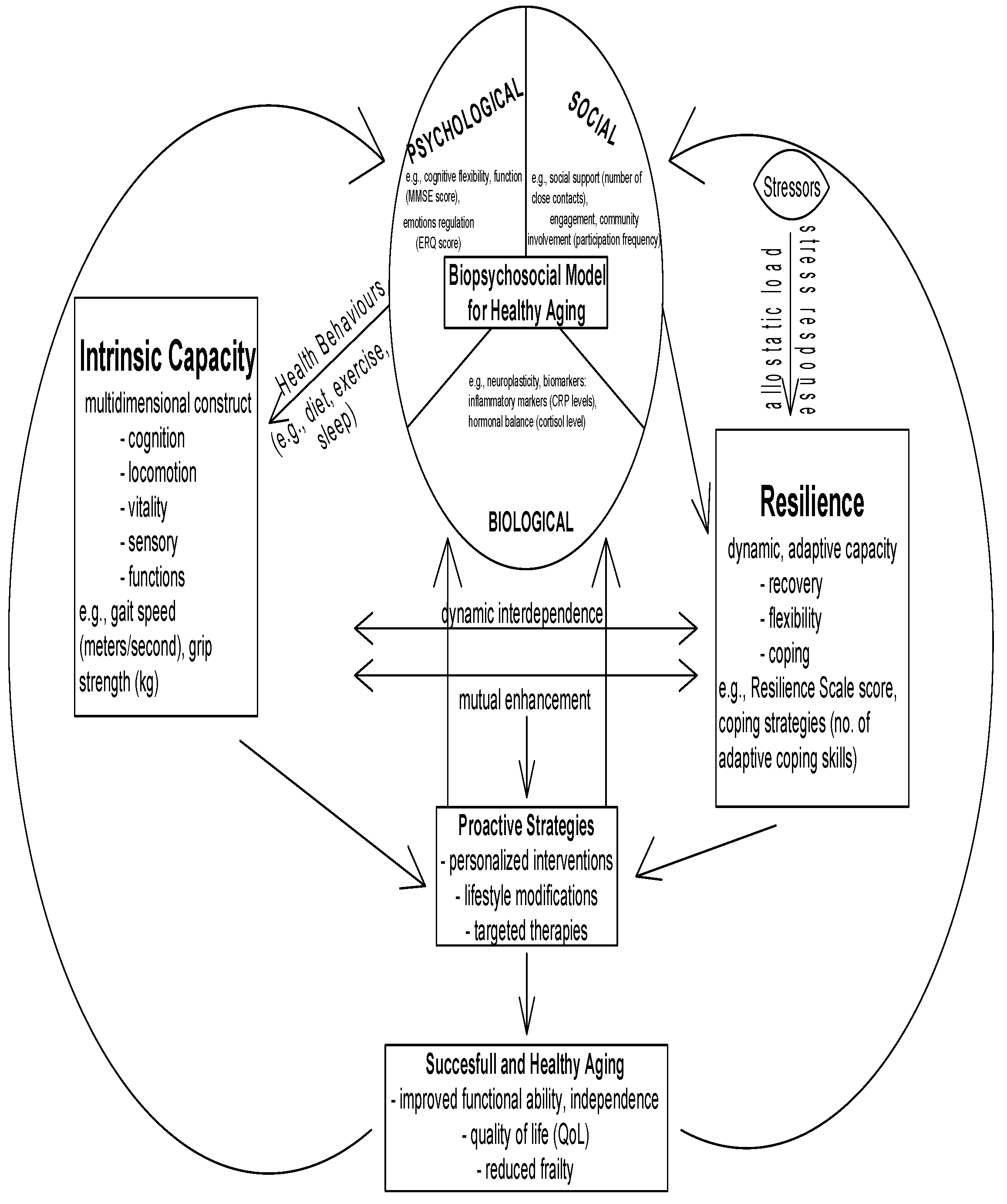 Jcm 14 07729 g002 Jcm 14 07729 g002