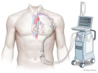 Jcm 14 07731 i001 Jcm 14 07731 i001