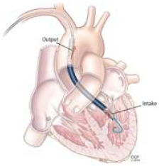 Jcm 14 07731 i002 Jcm 14 07731 i002