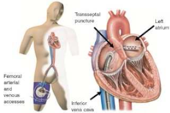 Jcm 14 07731 i004 Jcm 14 07731 i004