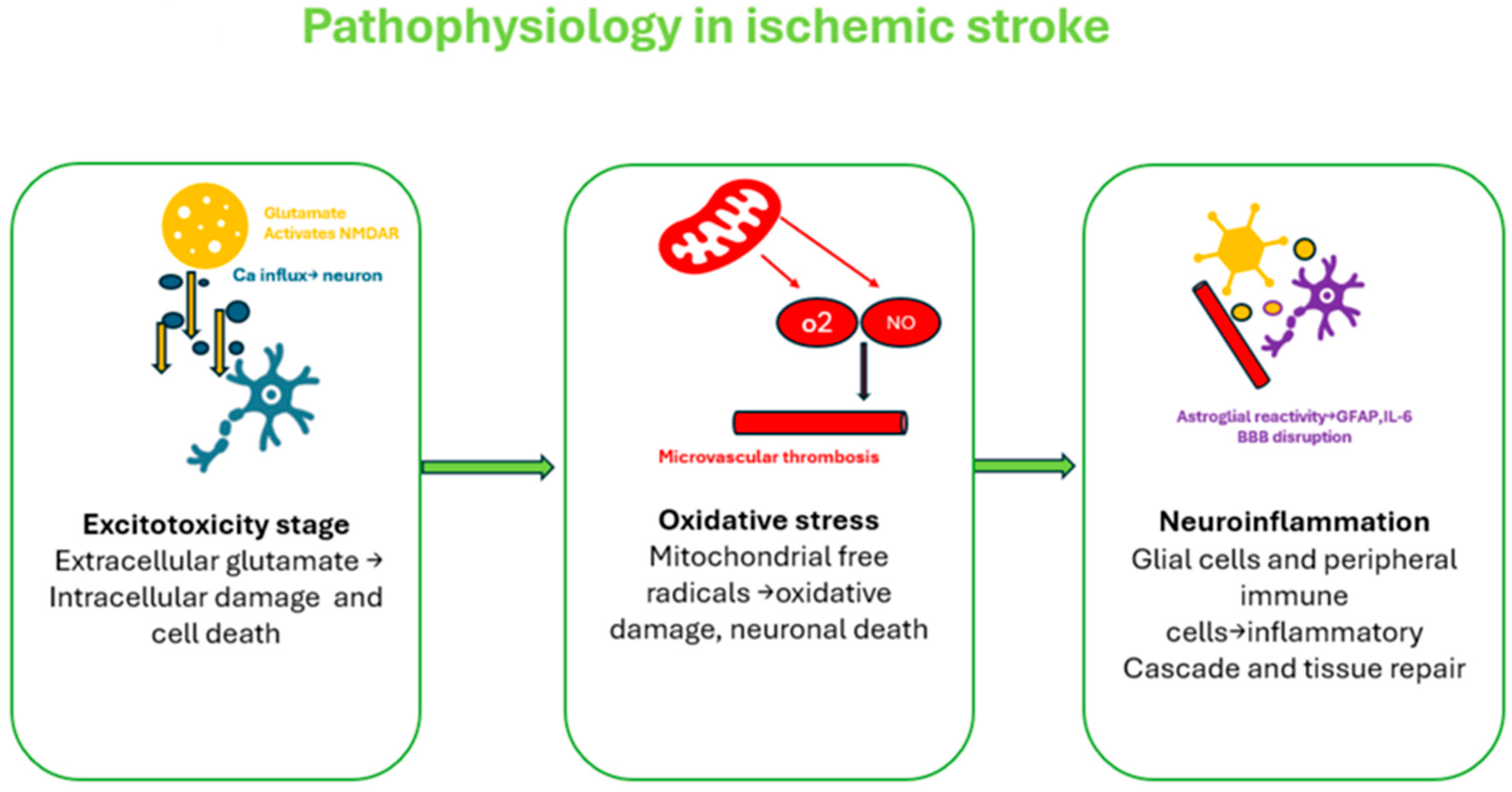 Jcm 14 07748 g001 Jcm 14 07748 g001
