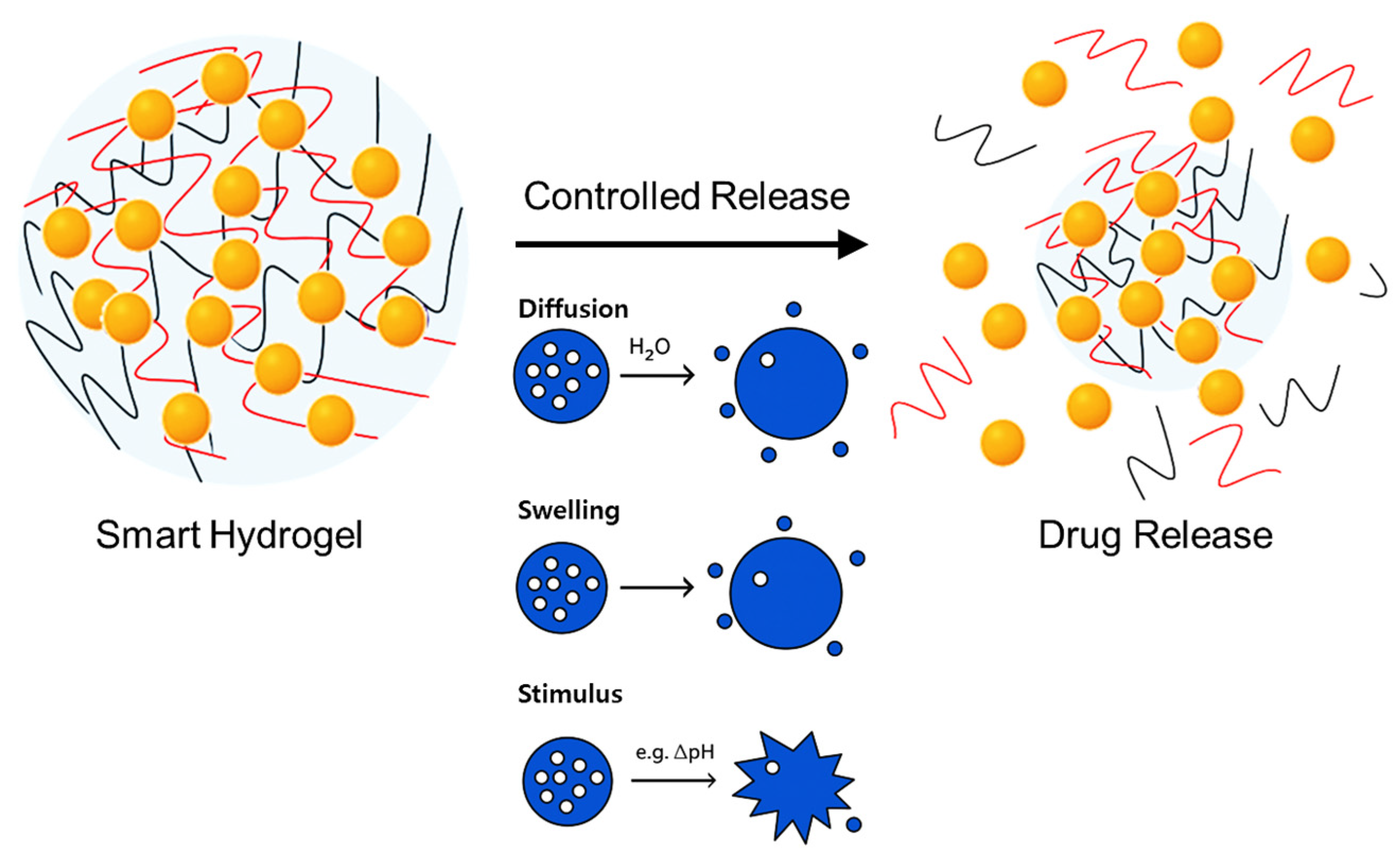 Jcm 14 07768 g003 Jcm 14 07768 g003