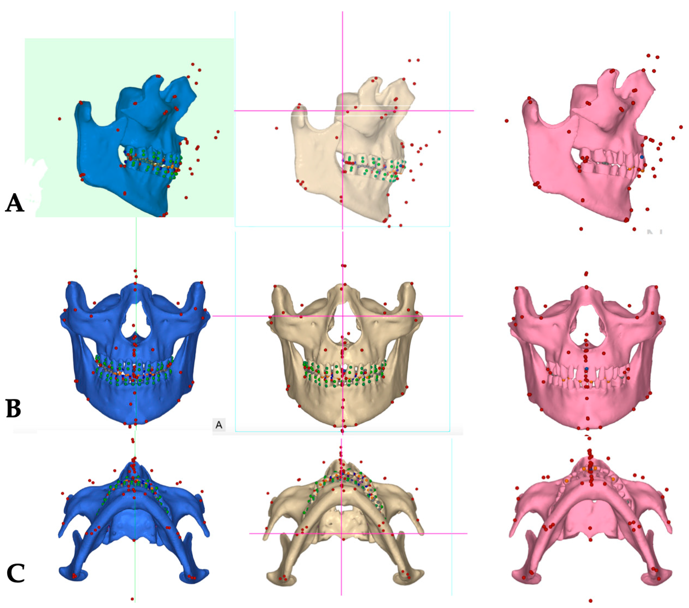 Jcm 14 07773 g004 Jcm 14 07773 g004