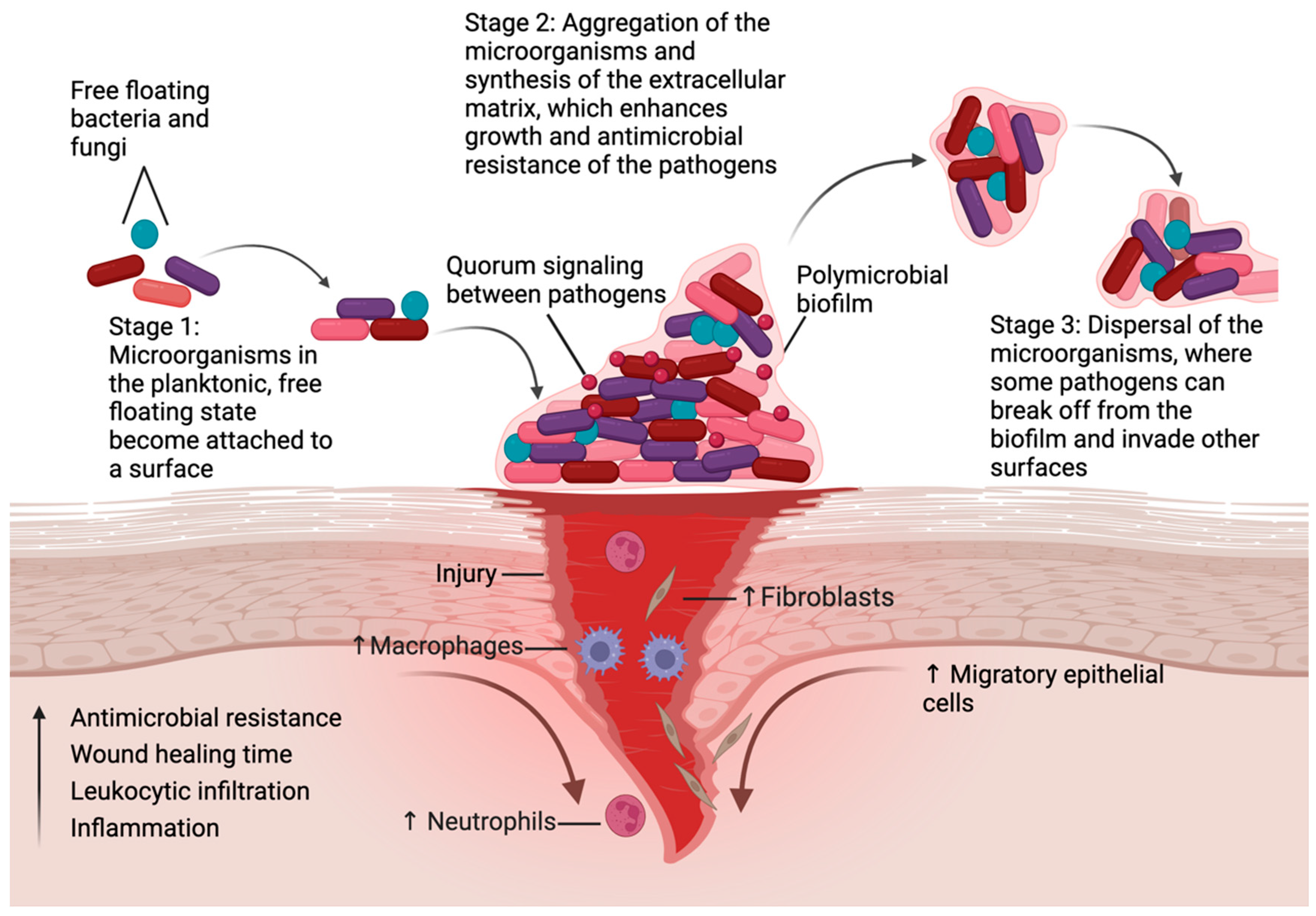 Jcm 14 07784 g001 Jcm 14 07784 g001