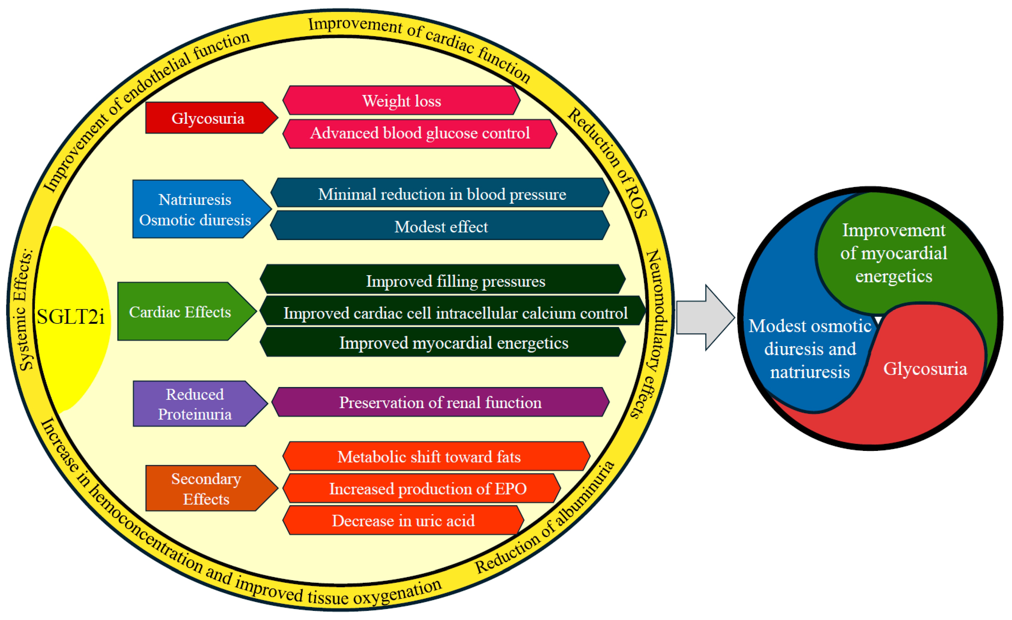 Jcm 14 07799 g001 Jcm 14 07799 g001
