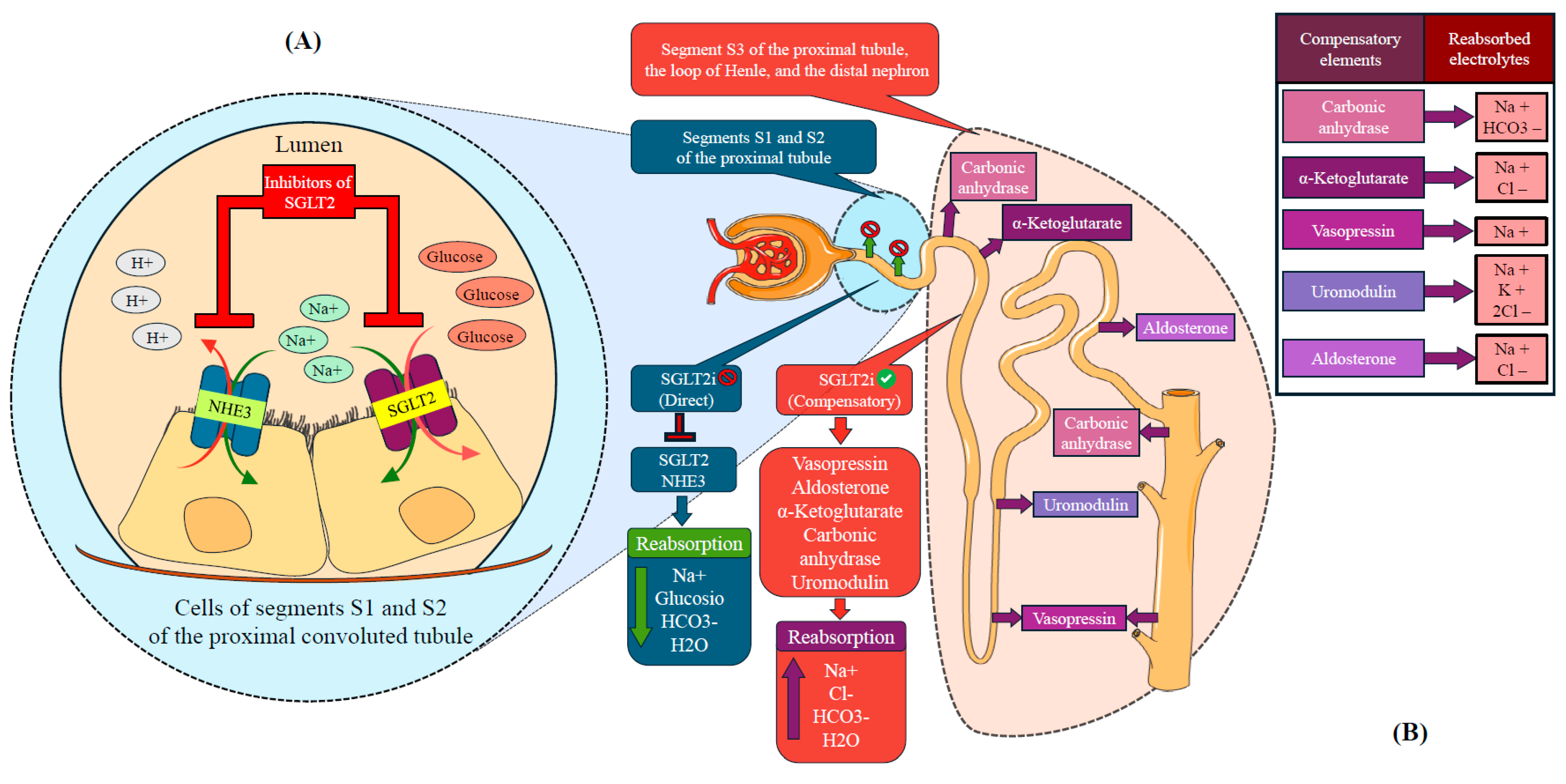 Jcm 14 07799 g002 Jcm 14 07799 g002