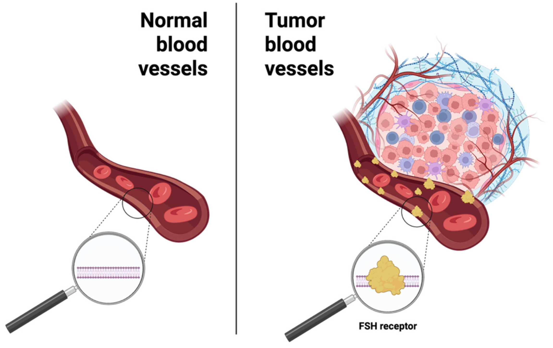 Jcm 14 07811 g002 Jcm 14 07811 g002