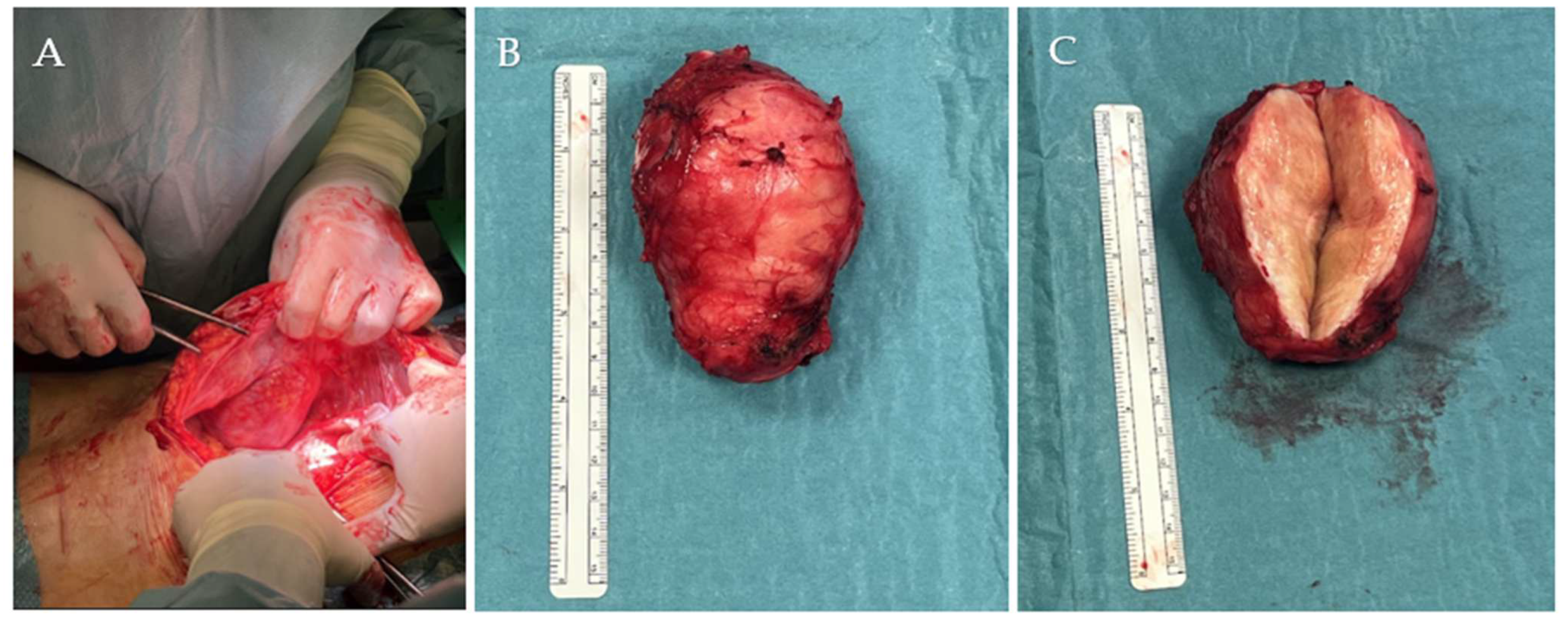 Jcm 14 07815 g004 Jcm 14 07815 g004
