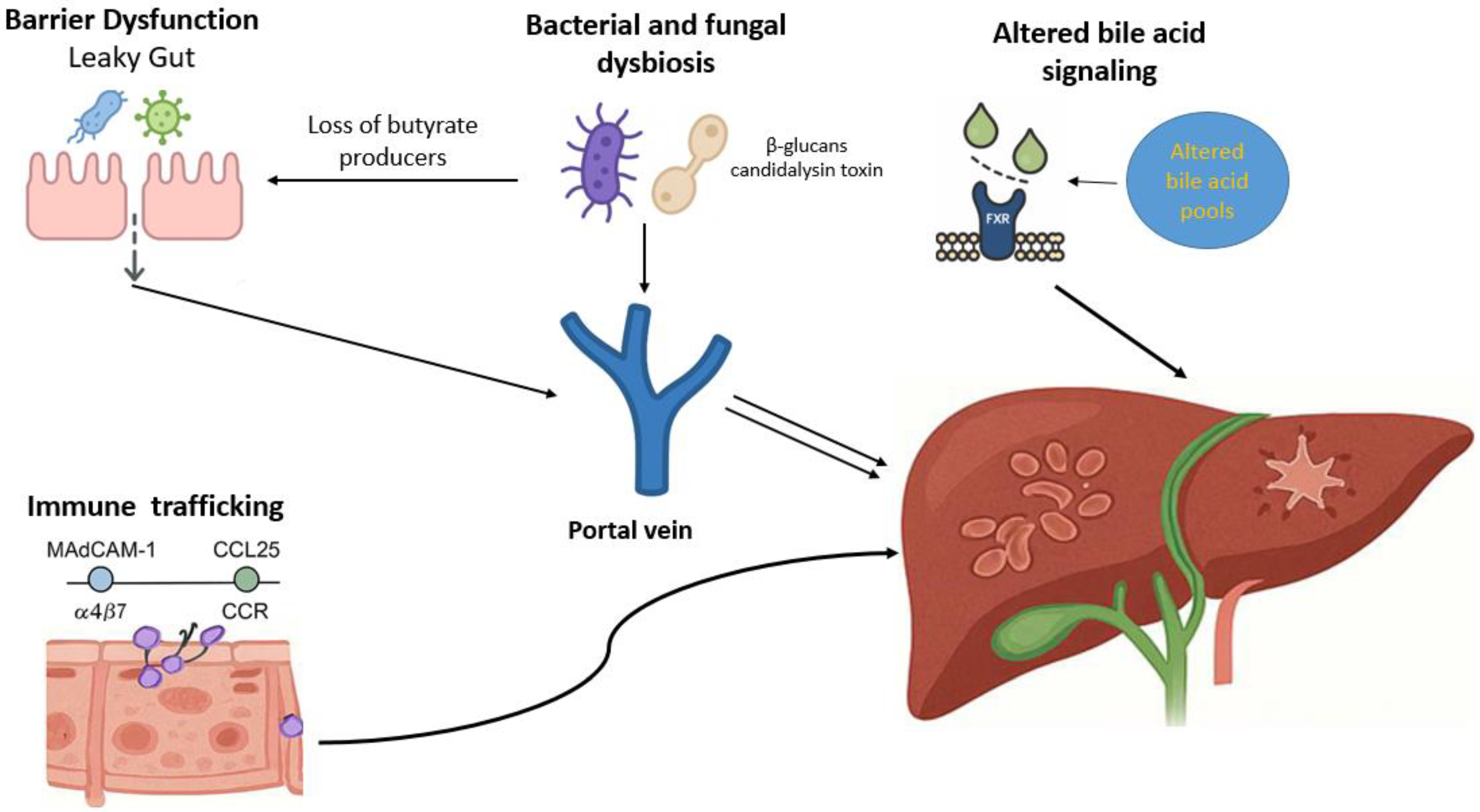Jcm 14 07817 g001 Jcm 14 07817 g001