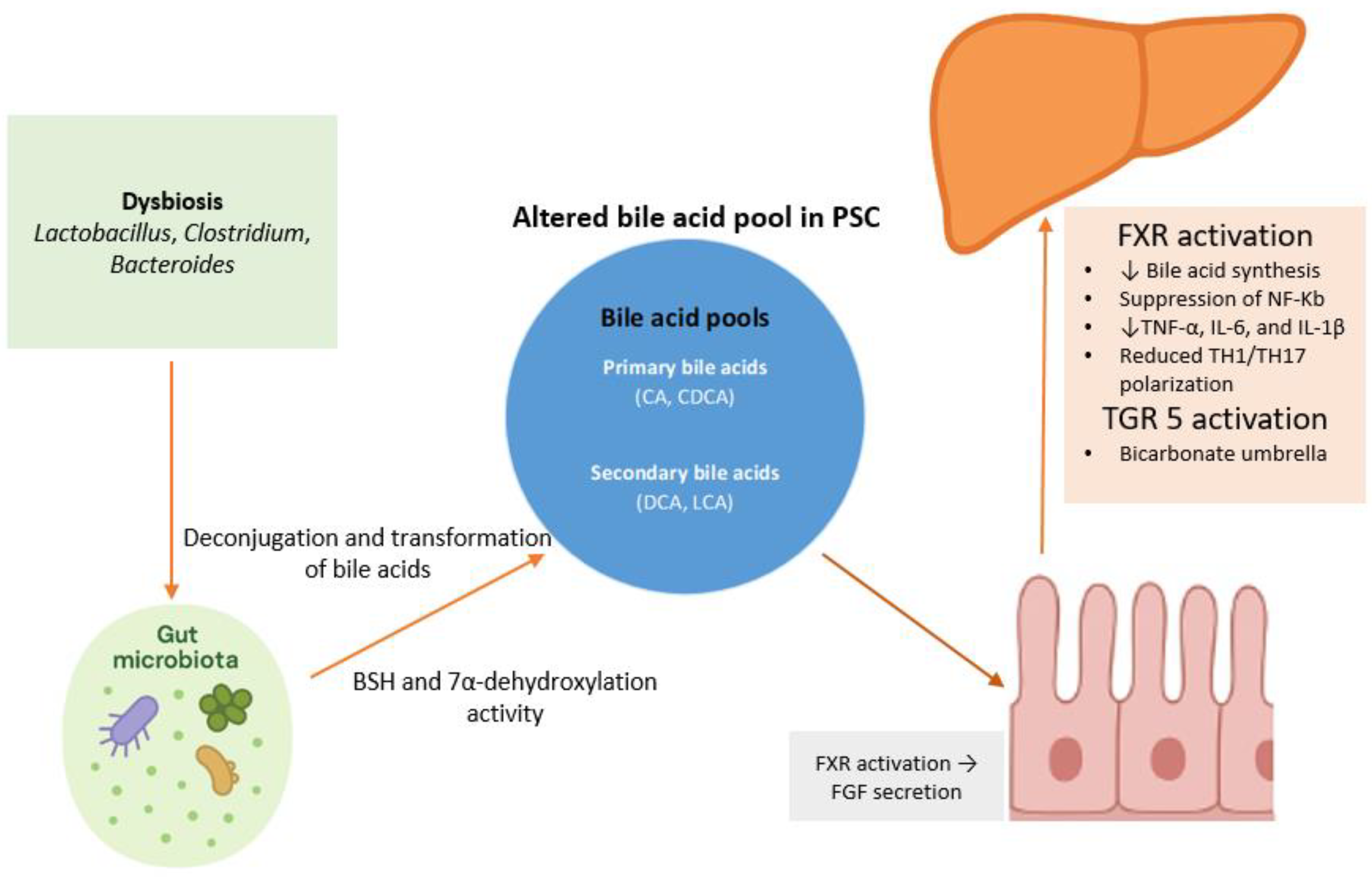 Jcm 14 07817 g002 Jcm 14 07817 g002