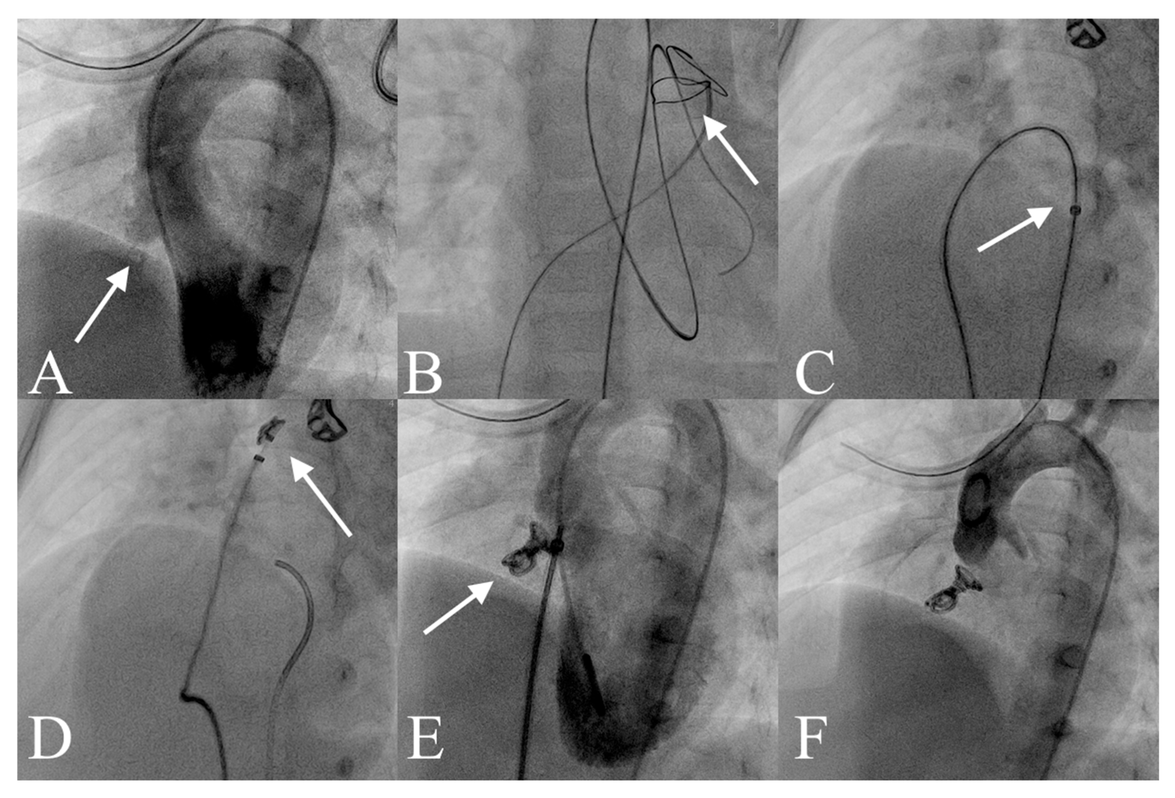 Jcm 14 07822 g001 Jcm 14 07822 g001