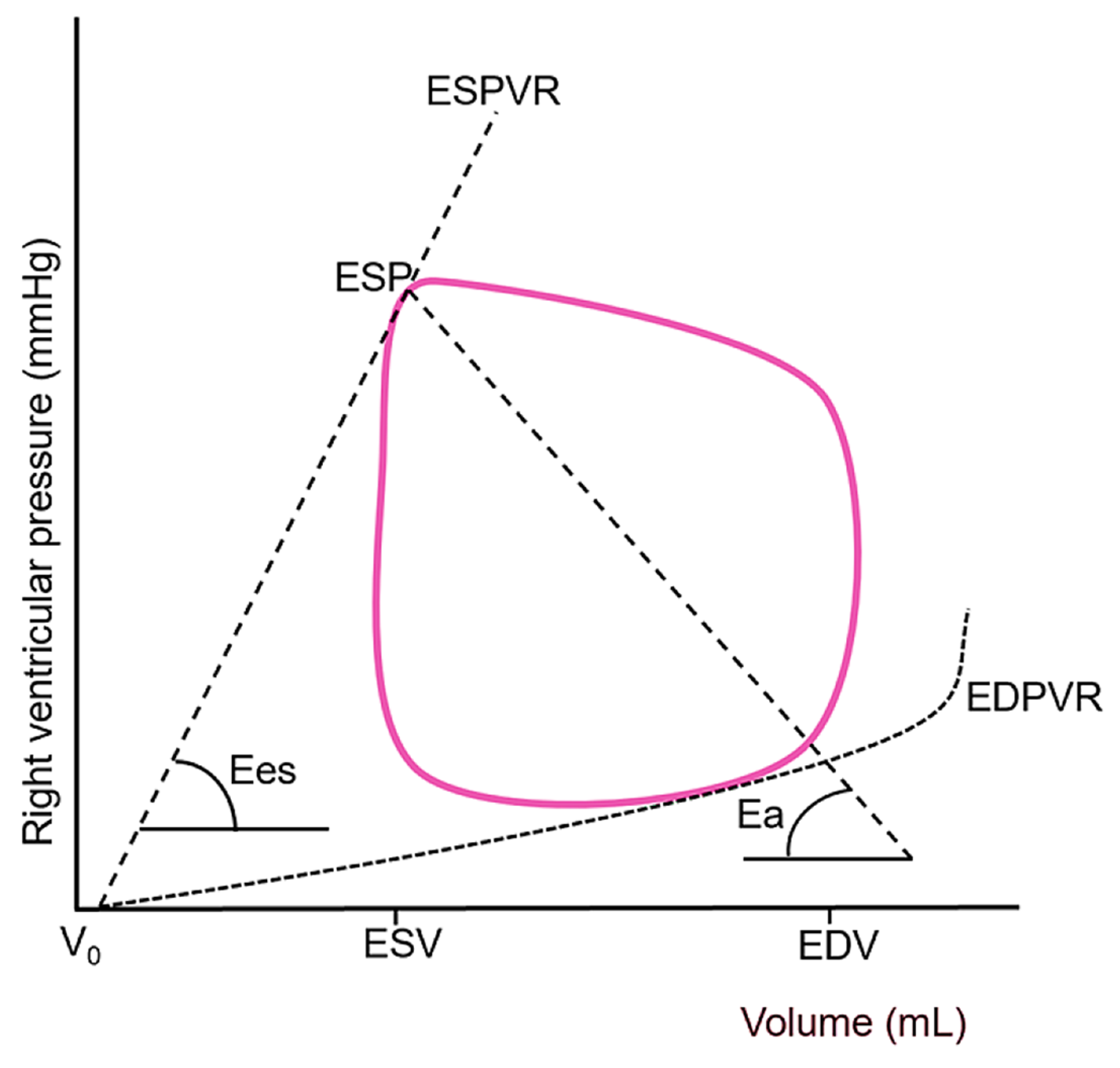 Jcm 14 07844 g005 Jcm 14 07844 g005