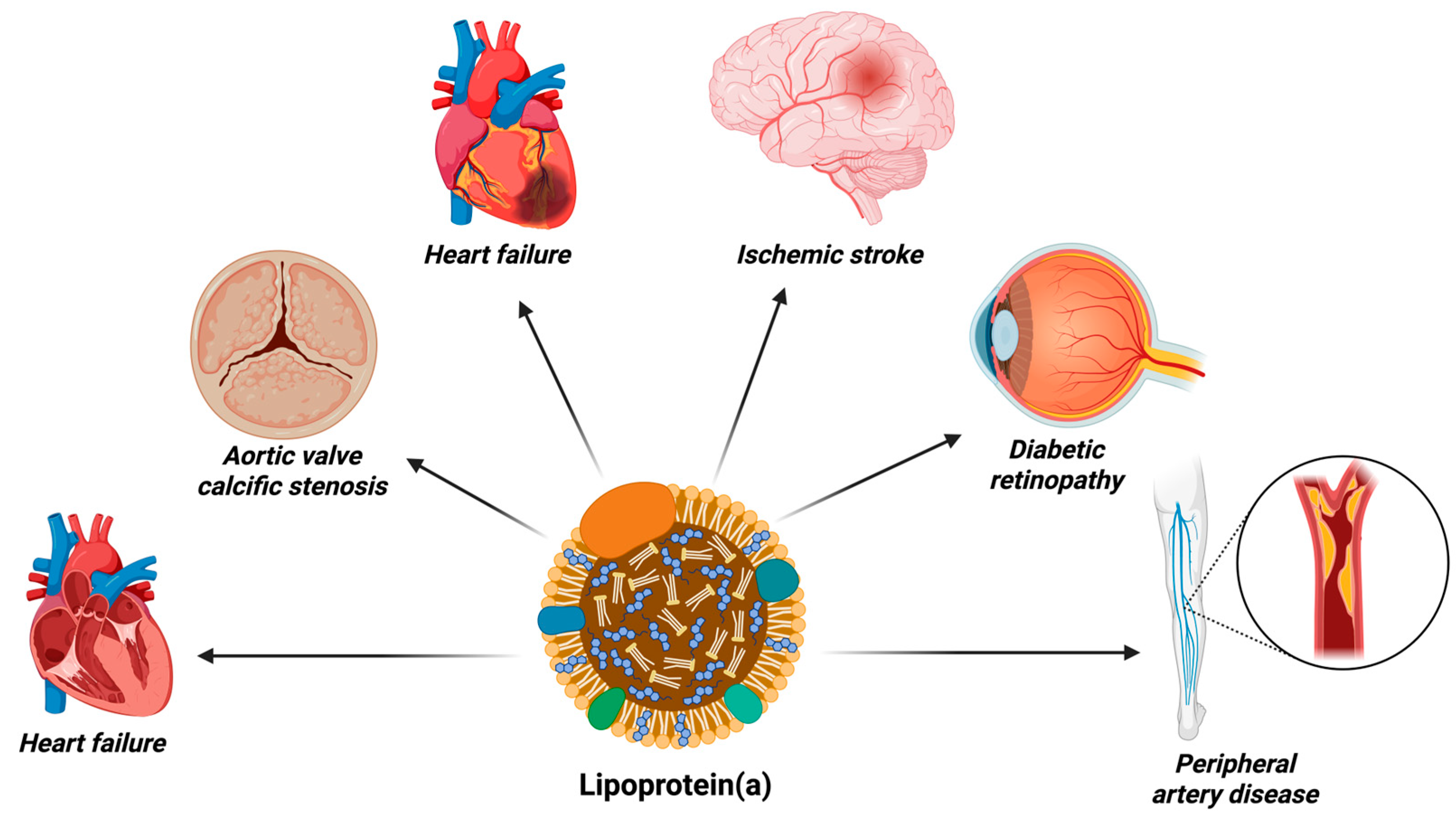 Jcm 14 07851 g001 Jcm 14 07851 g001