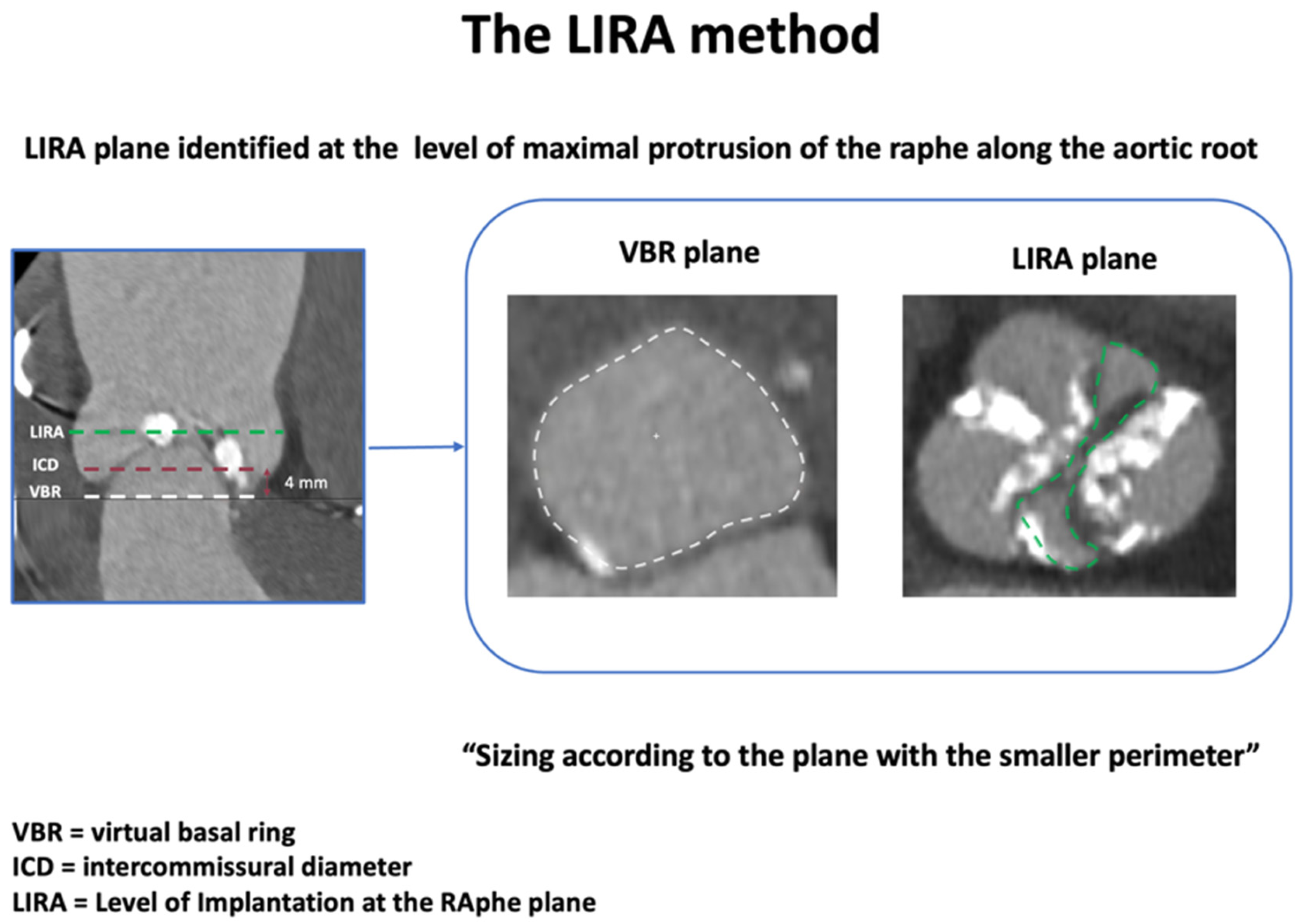 Jcm 14 07860 g003 Jcm 14 07860 g003