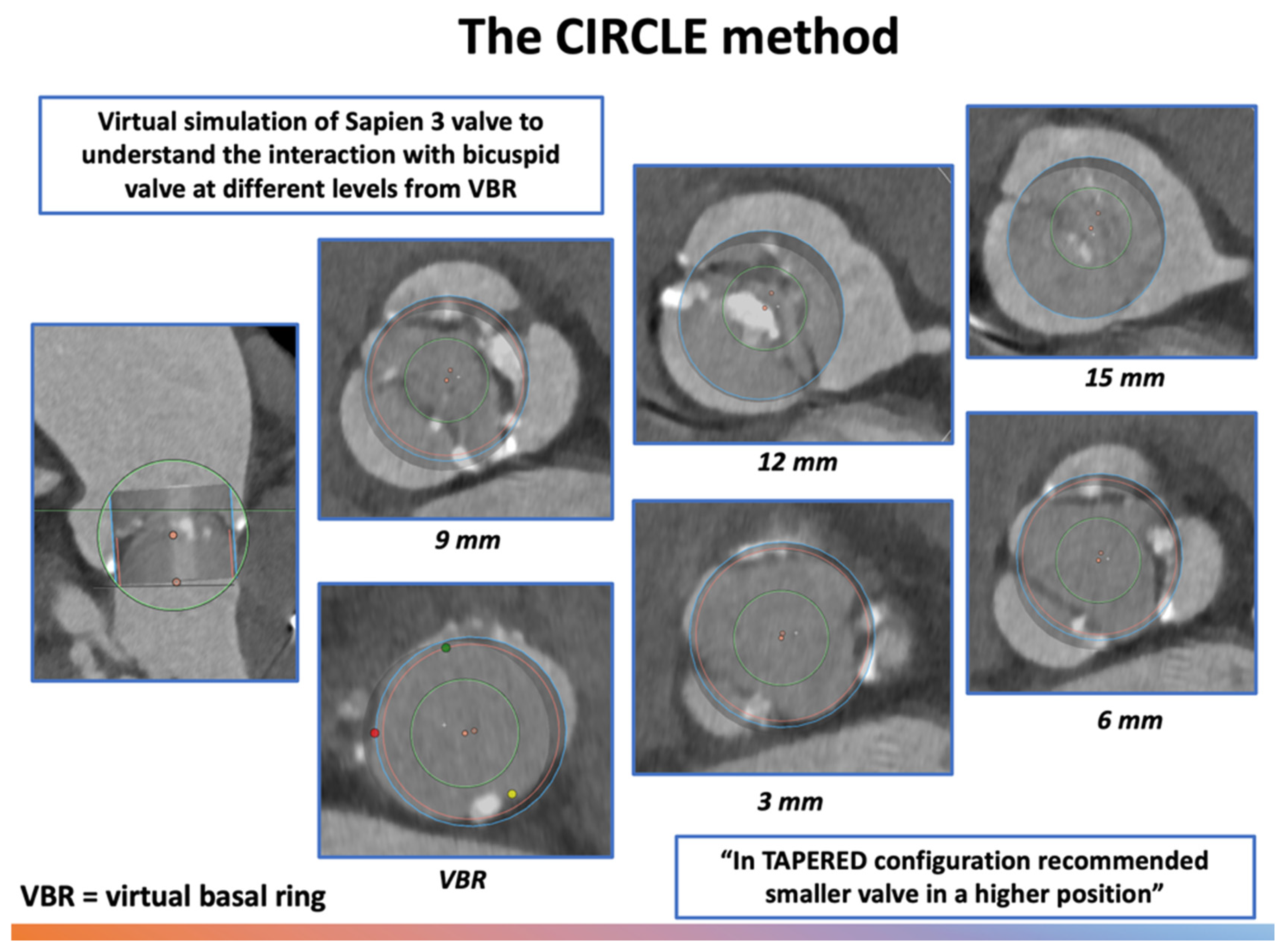 Jcm 14 07860 g005 Jcm 14 07860 g005