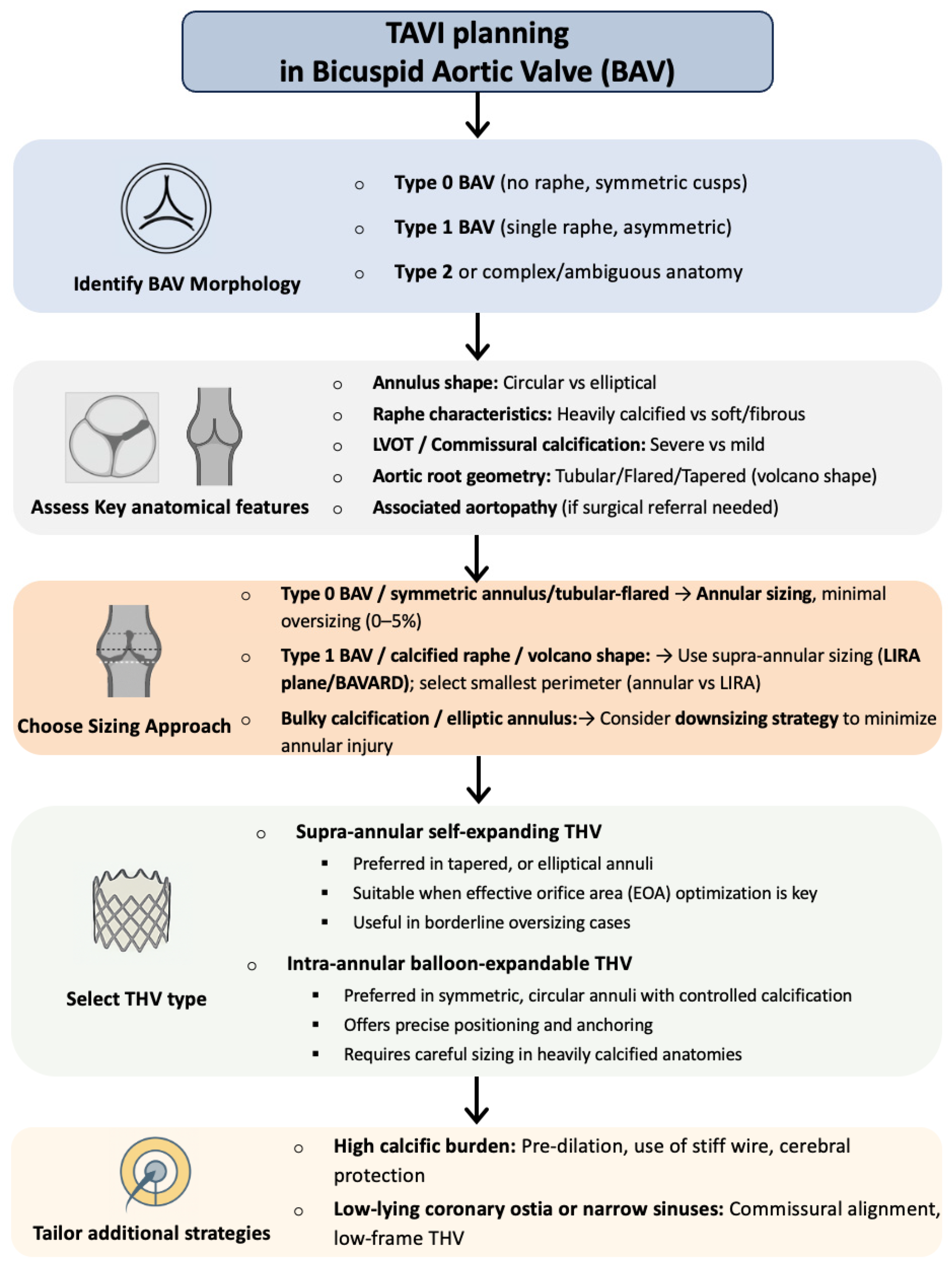 Jcm 14 07860 g006 Jcm 14 07860 g006