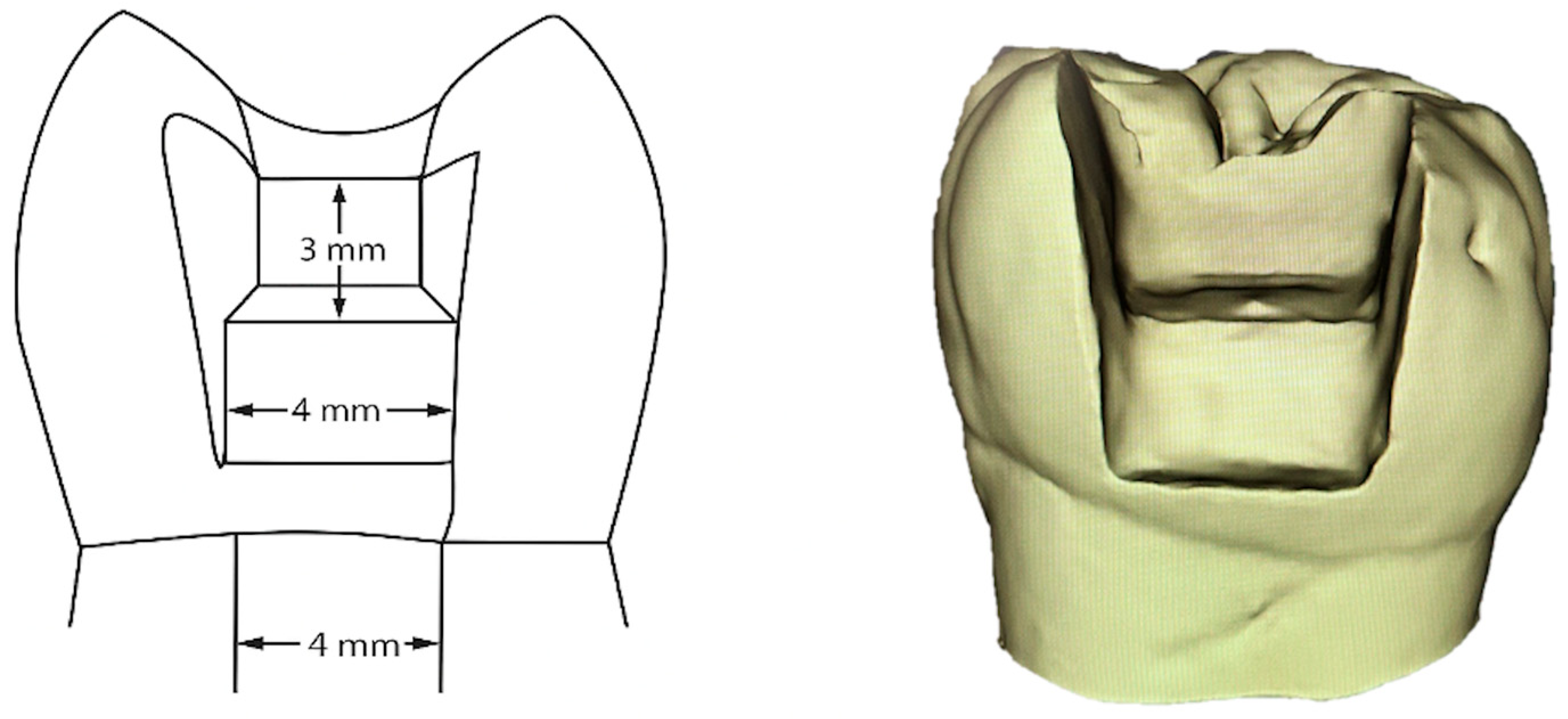 Jcm 14 07877 g002 Jcm 14 07877 g002