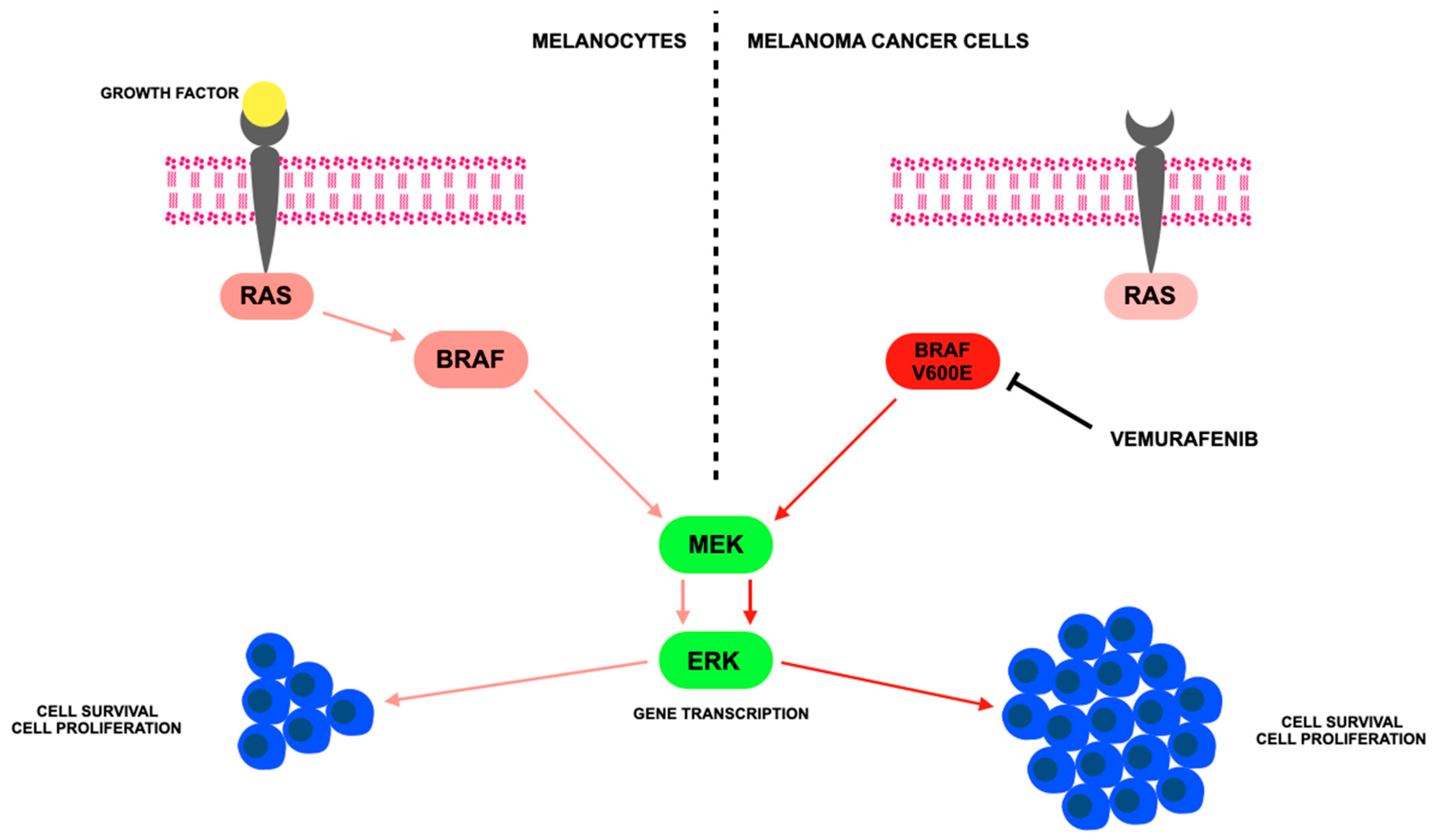 Jcm 14 07906 g002 Jcm 14 07906 g002