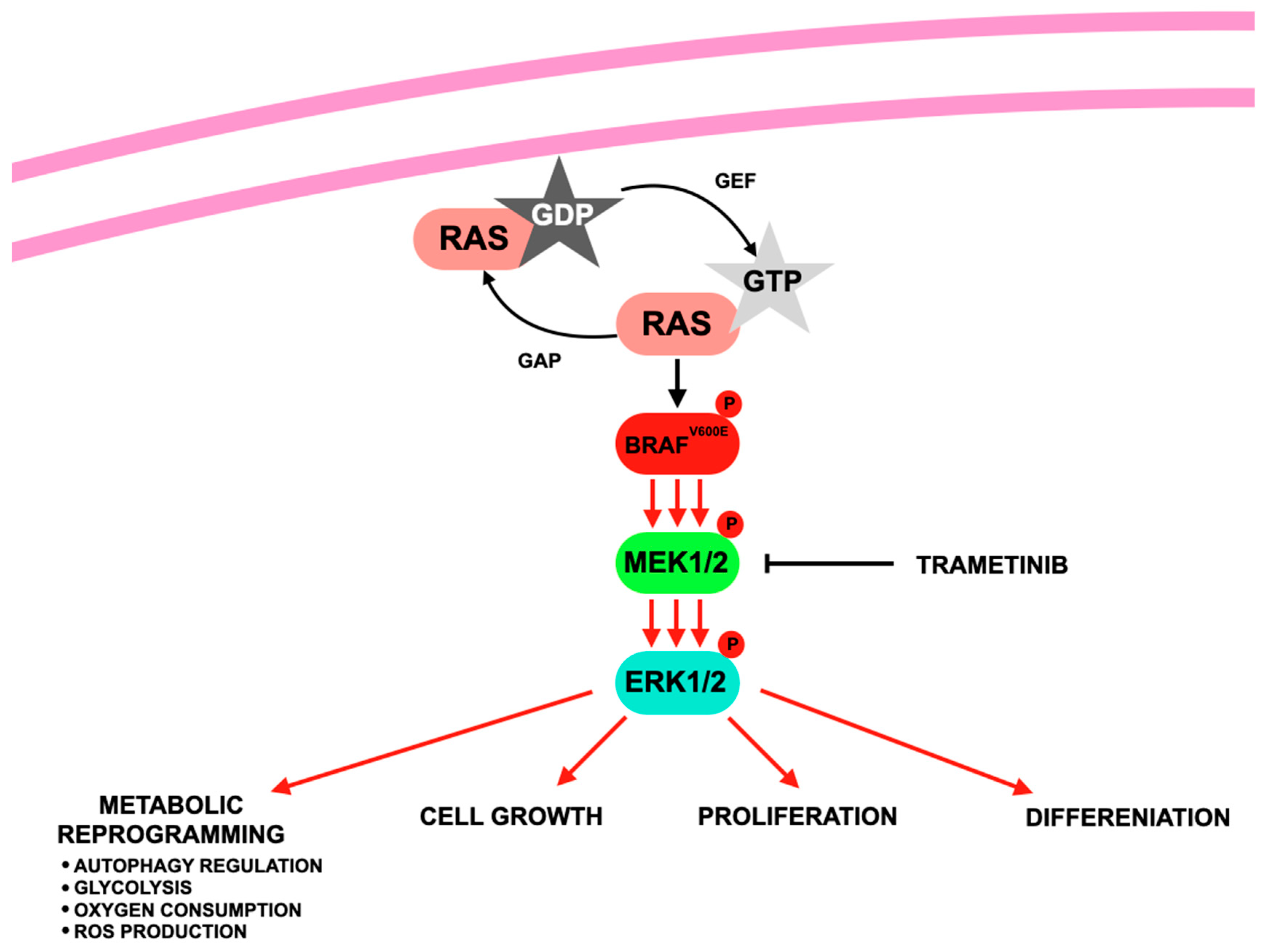 Jcm 14 07906 g004 Jcm 14 07906 g004