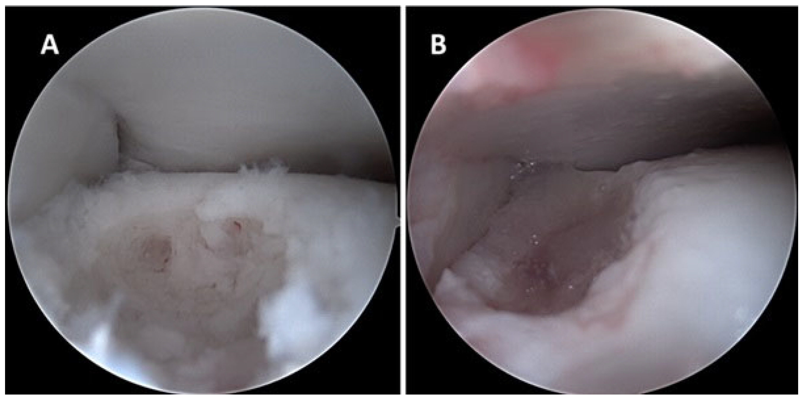 Jcm 14 07917 g002 Jcm 14 07917 g002