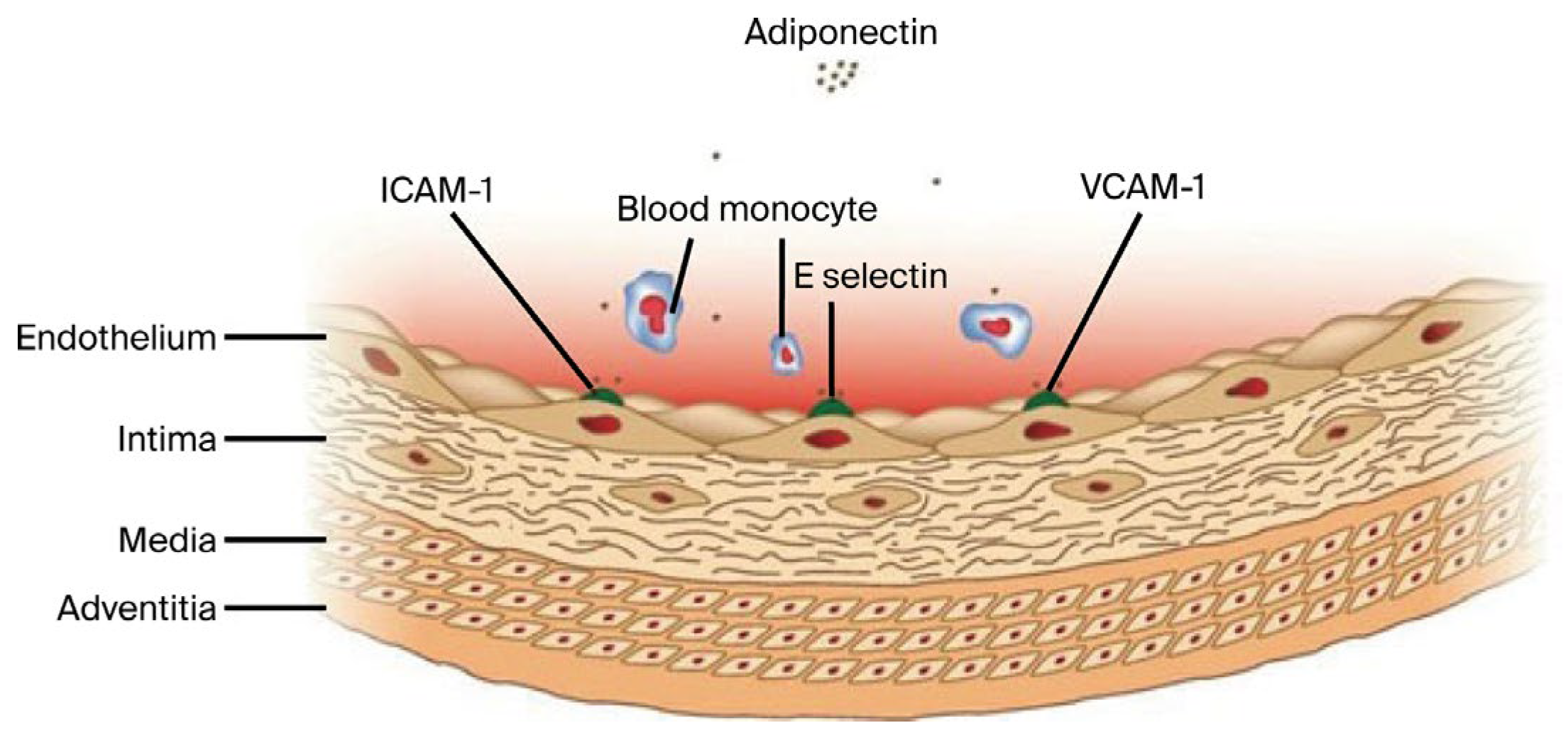 Jcm 14 07936 g001 Jcm 14 07936 g001
